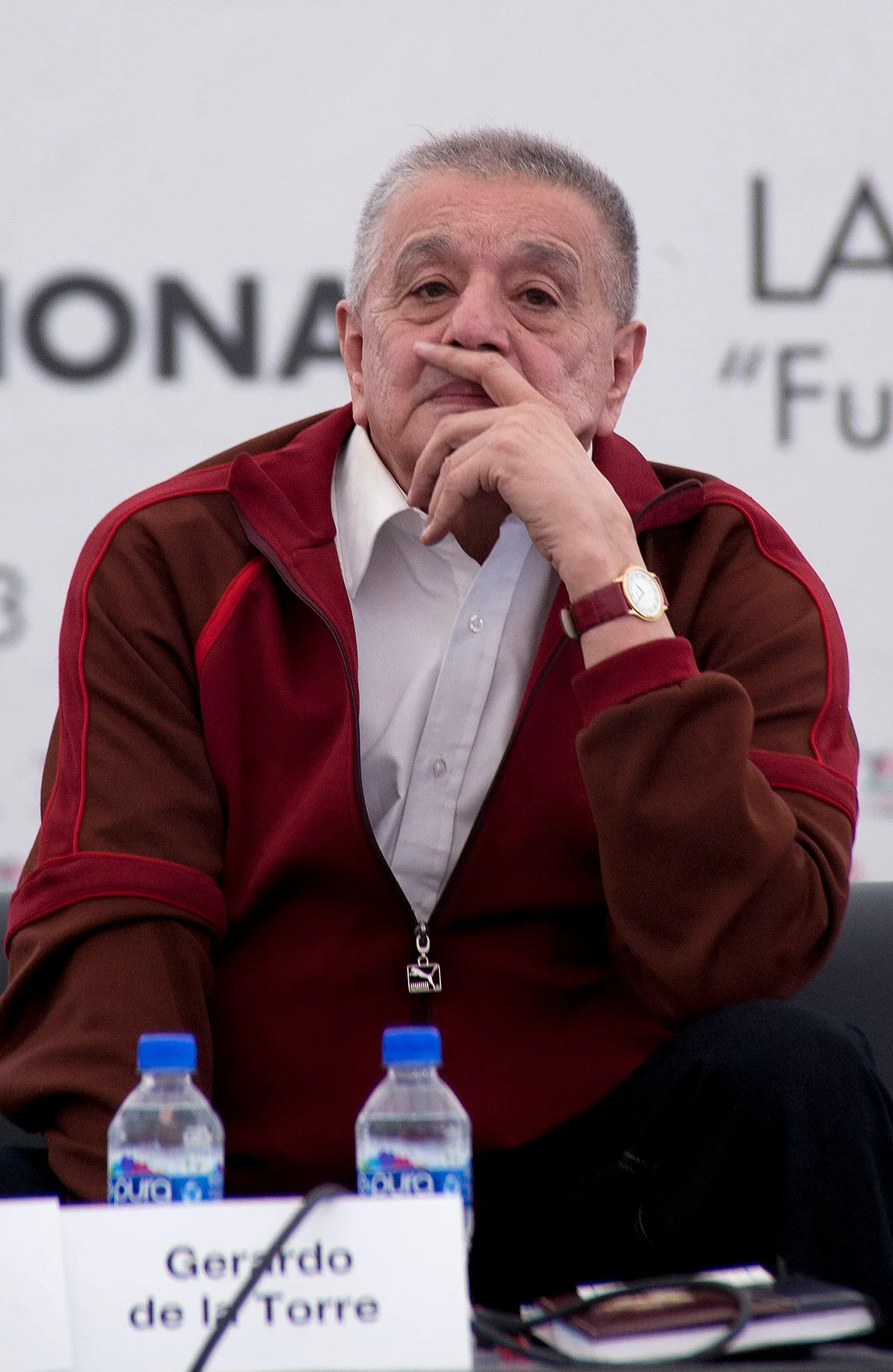 Gerardo de la Torre