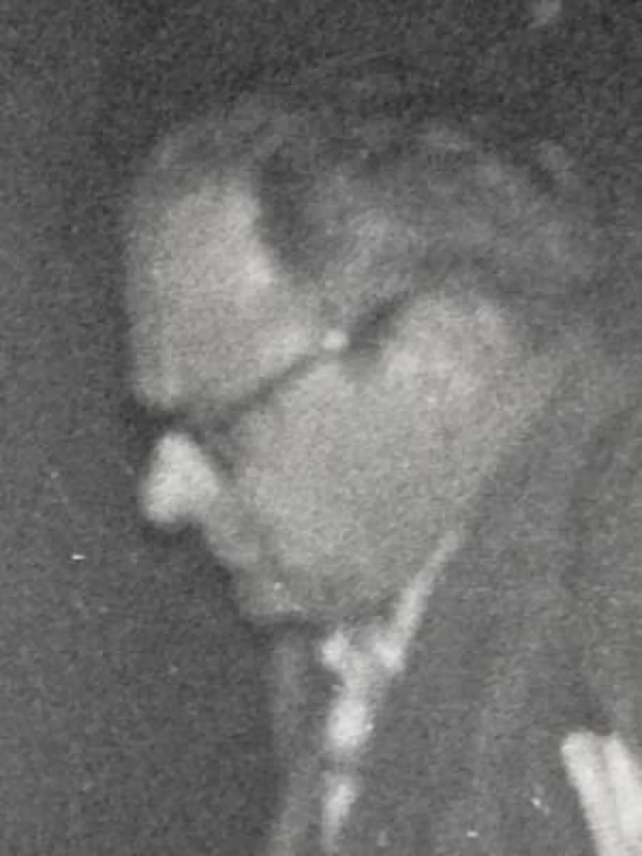 Porträt von Semjon Abramowitsch Furman (1920–1978) – Gedenkseite