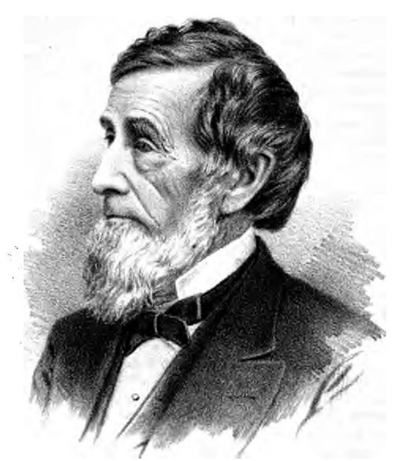 Elisha P. Jewett