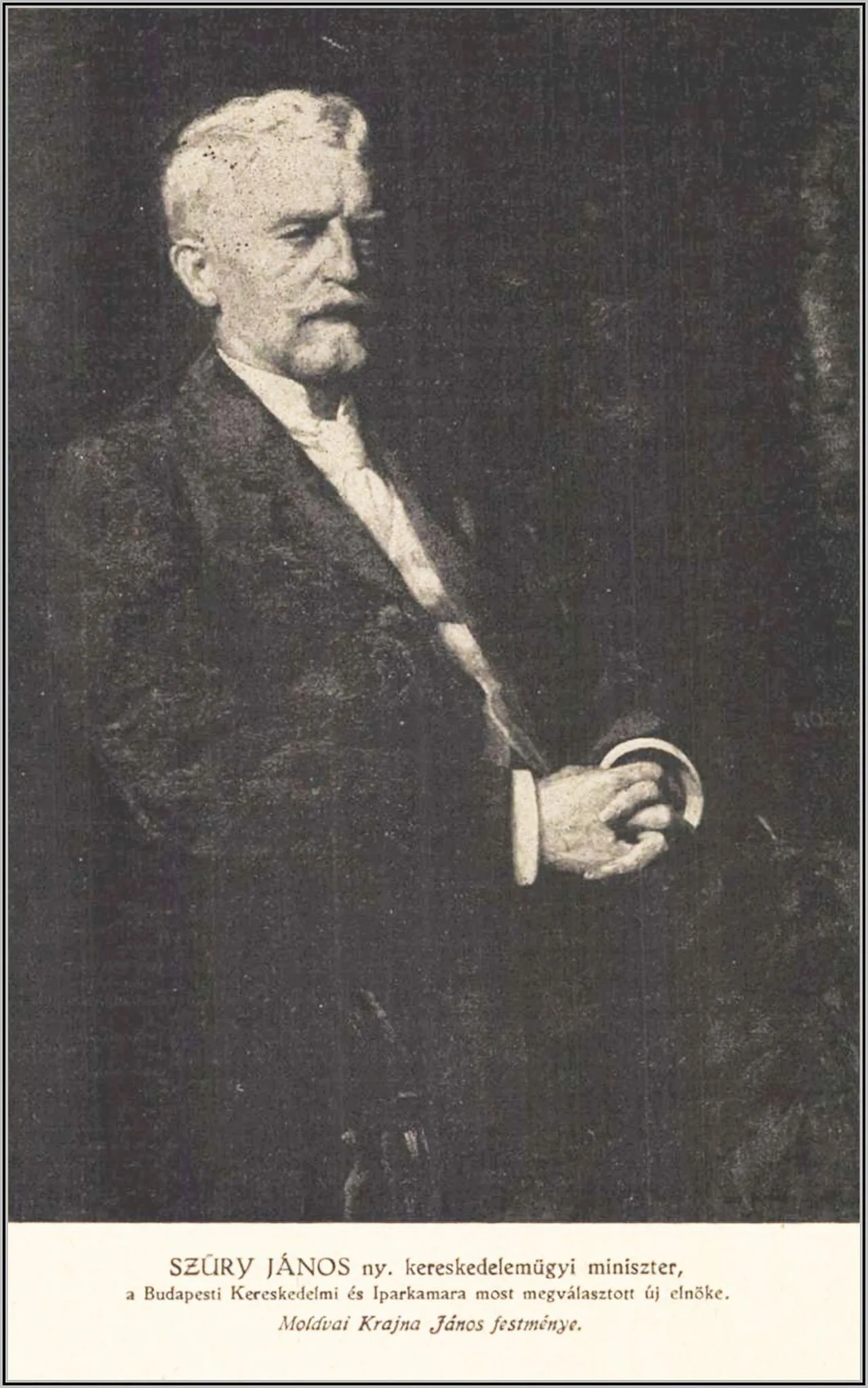 Porträt von János Szüry (1862–1927) – Gedenkseite