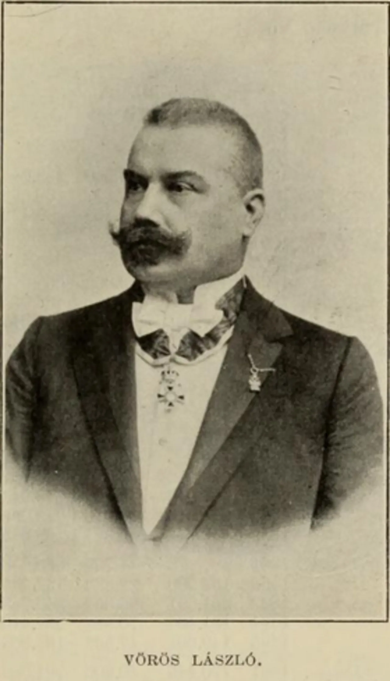 Porträt von László Vörös (1848–1925) – Gedenkseite