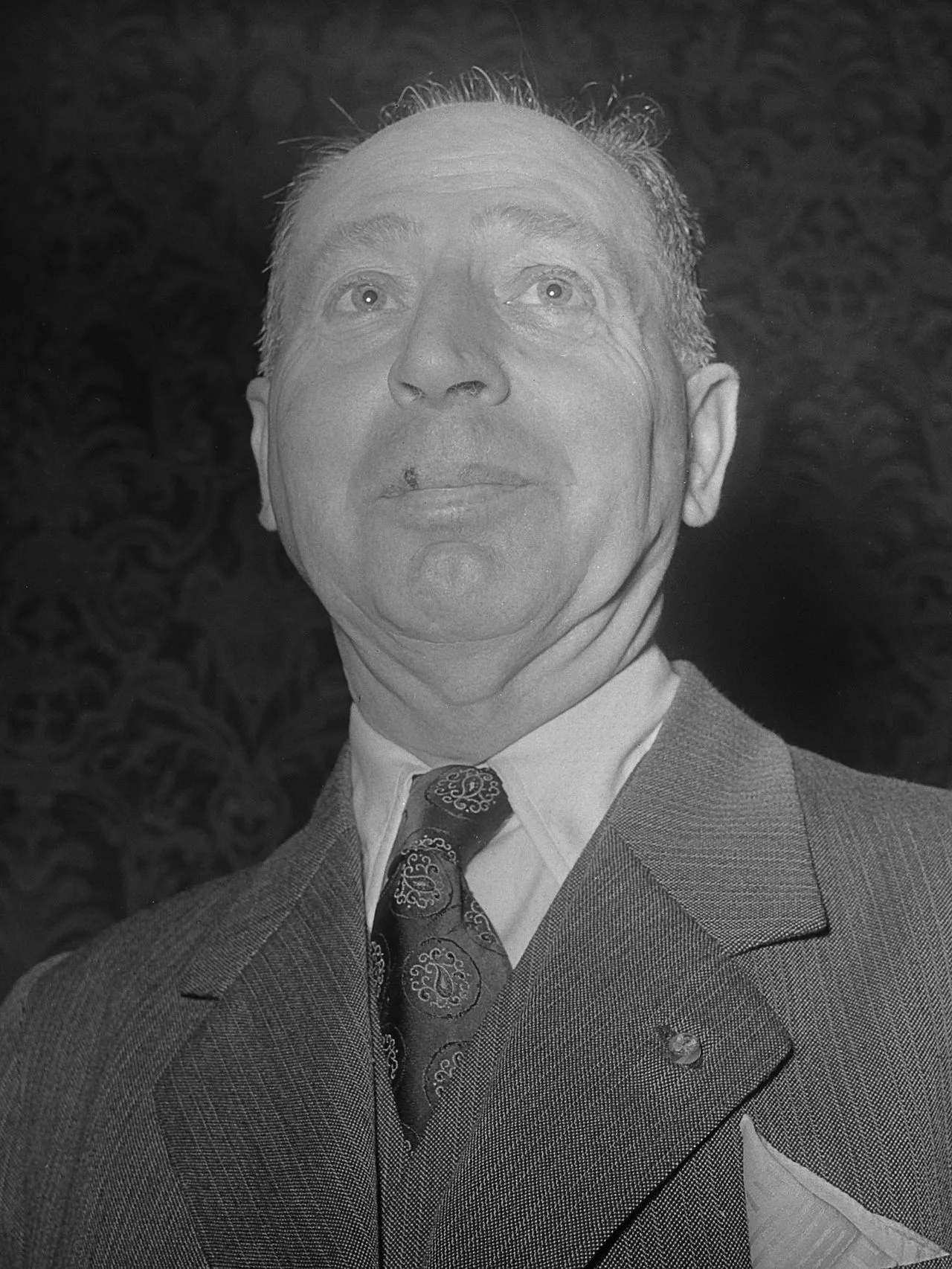 Johan van Veen