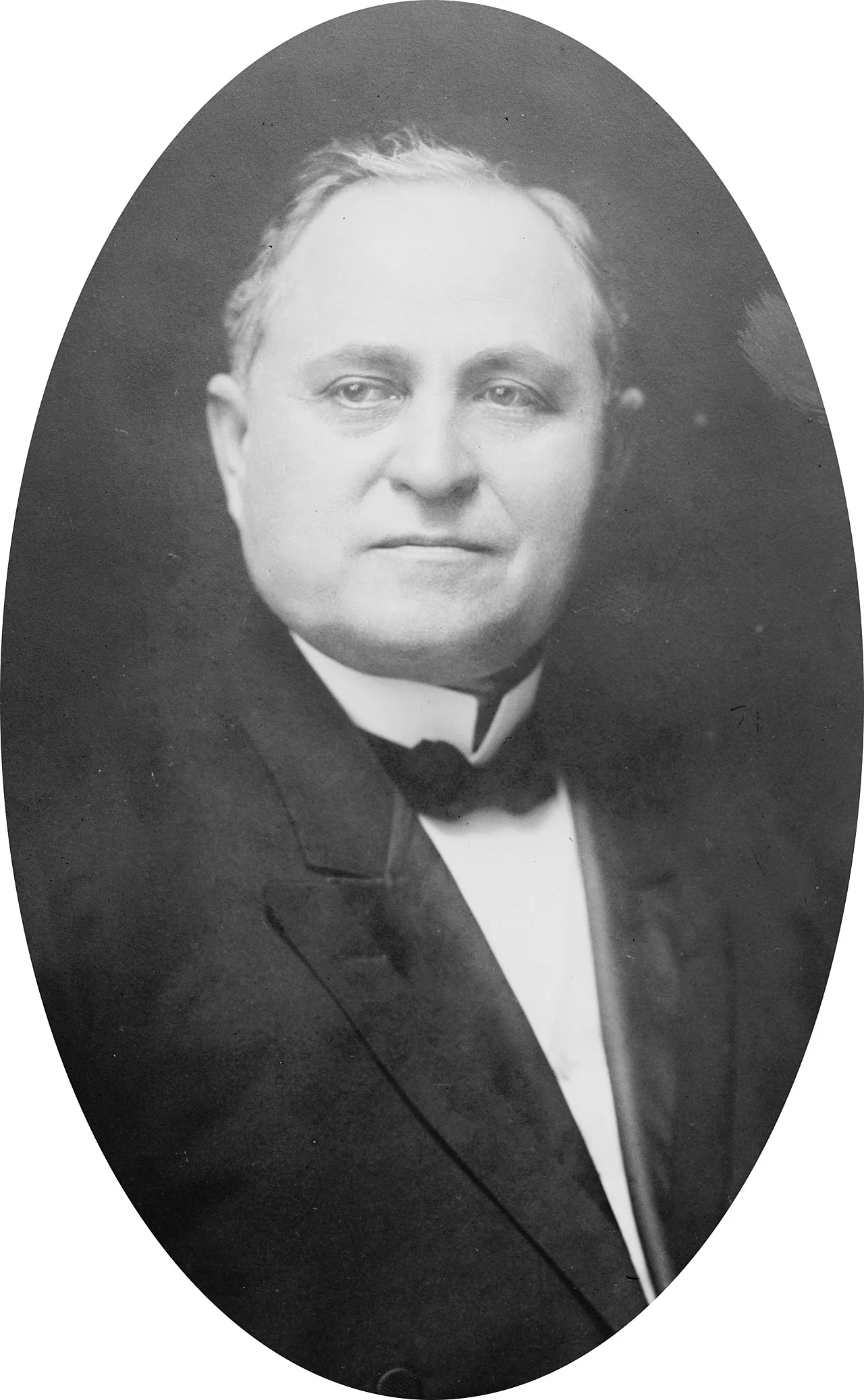 Porträt von David Bancroft Johnson (1856–1928) – Gedenkseite