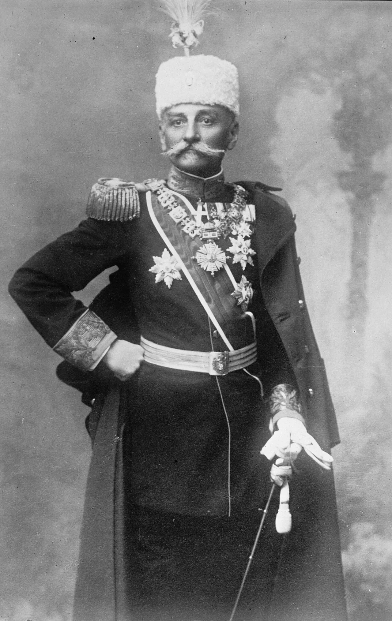 Portrait of Peter I. (1844–1921) – memorial page