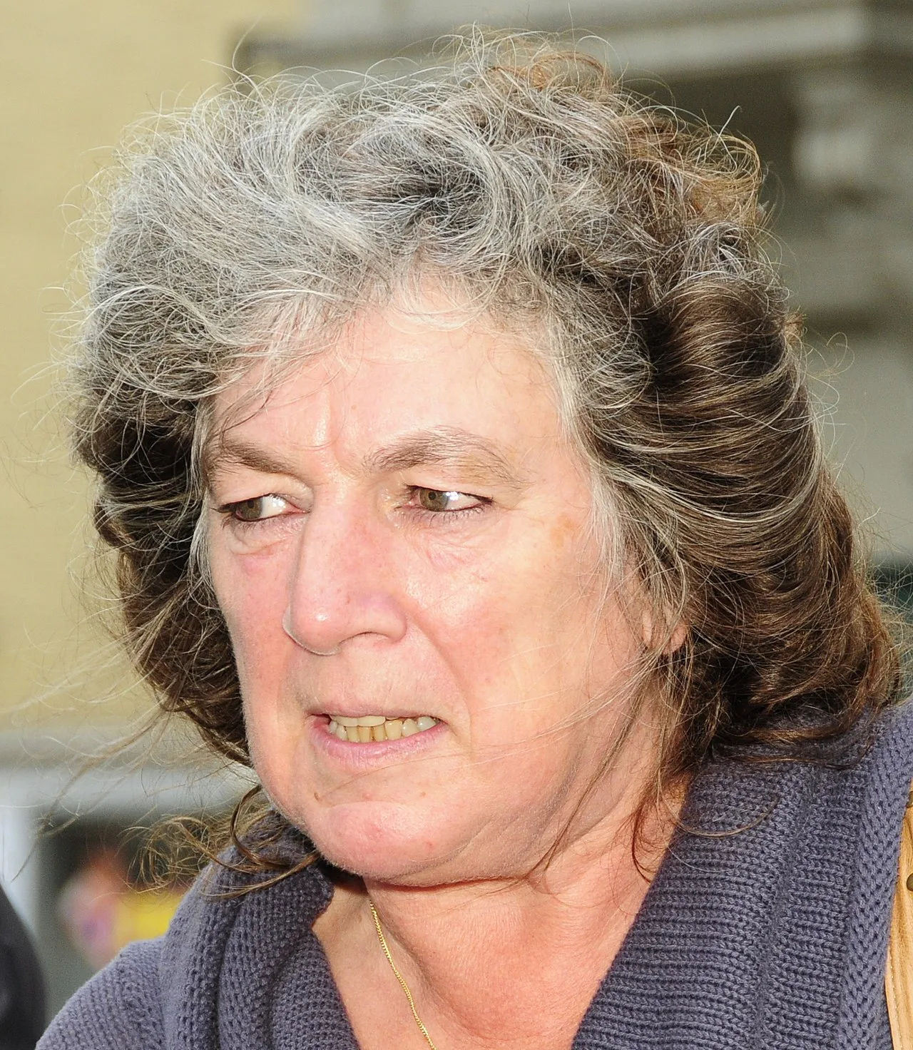 Porträt von Reinhilde Decleir (1948–2022) – Gedenkseite