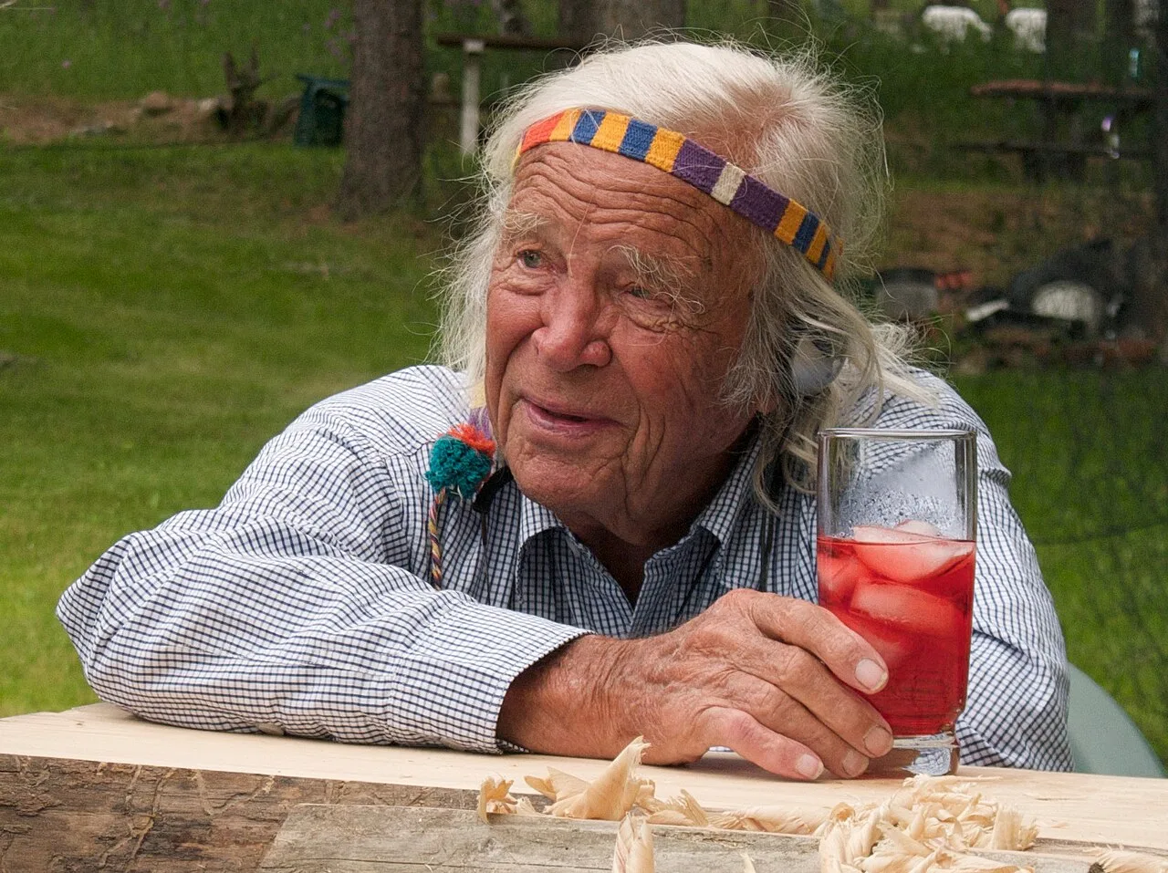 Portrait of John J. Craighead (1916–2016) – memorial page