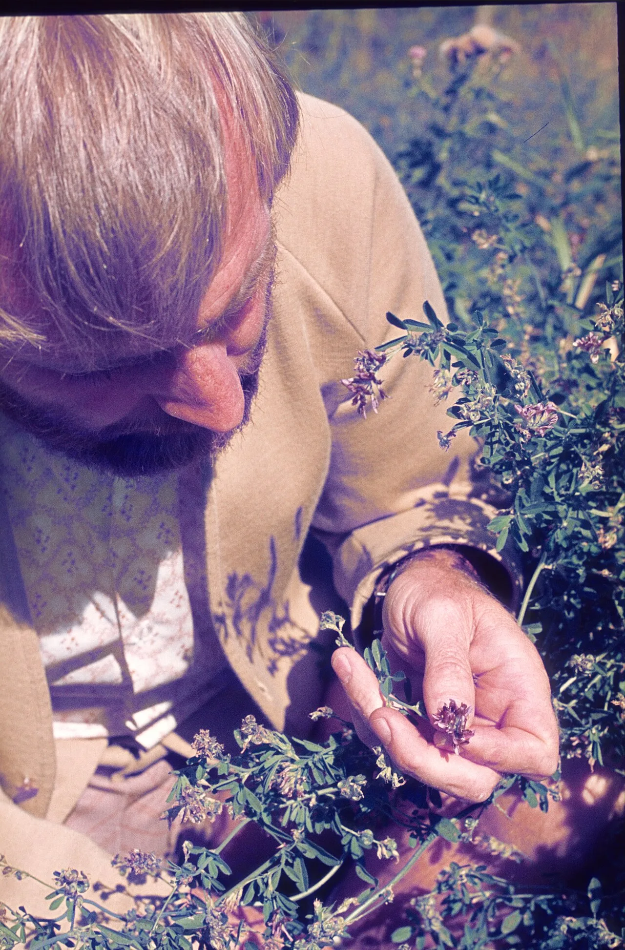 Portrait of Barry Donovan (1941–2022) – memorial page