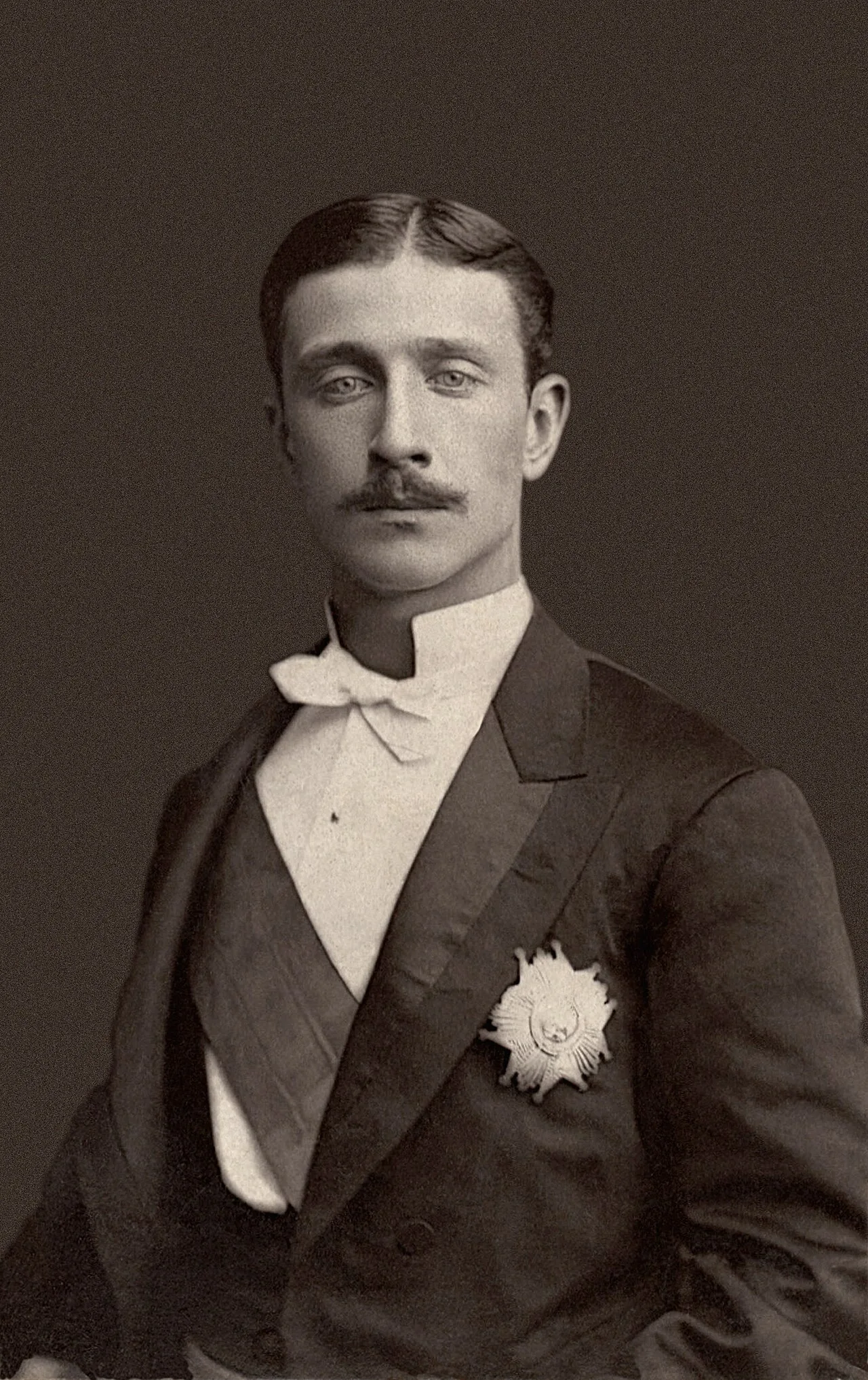 Portrait of Napoléon Eugène Louis Bonaparte (1856–1879) – memorial page
