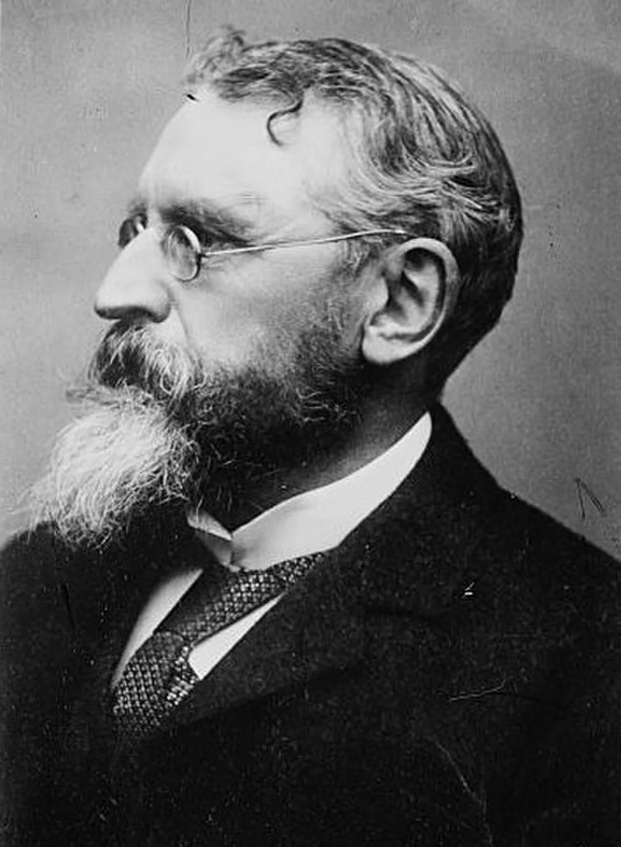 Portrait of William O'Brien (1852–1928) – memorial page