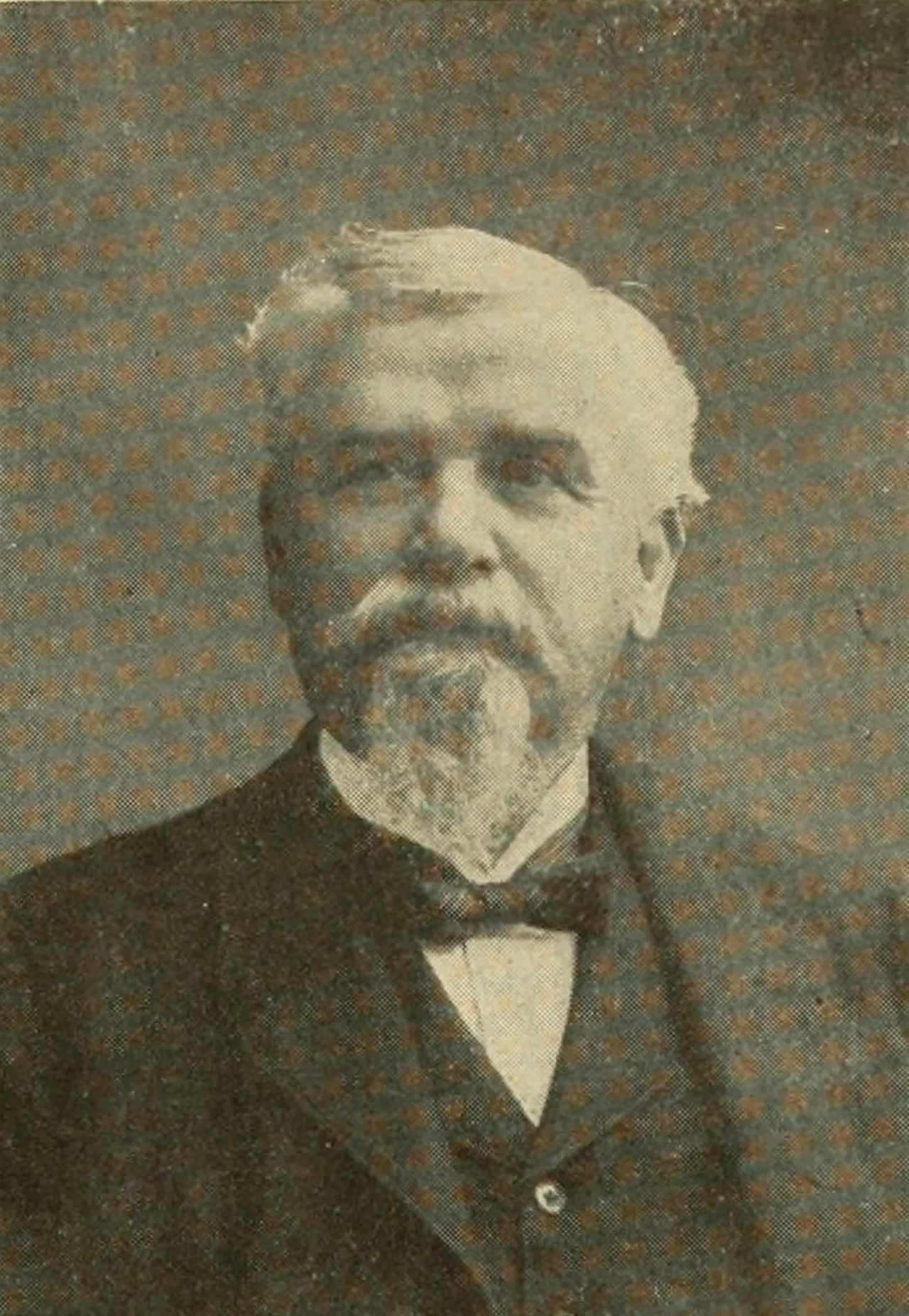 Portrait of Edward Sylvester Ellis (1840–1916) – memorial page
