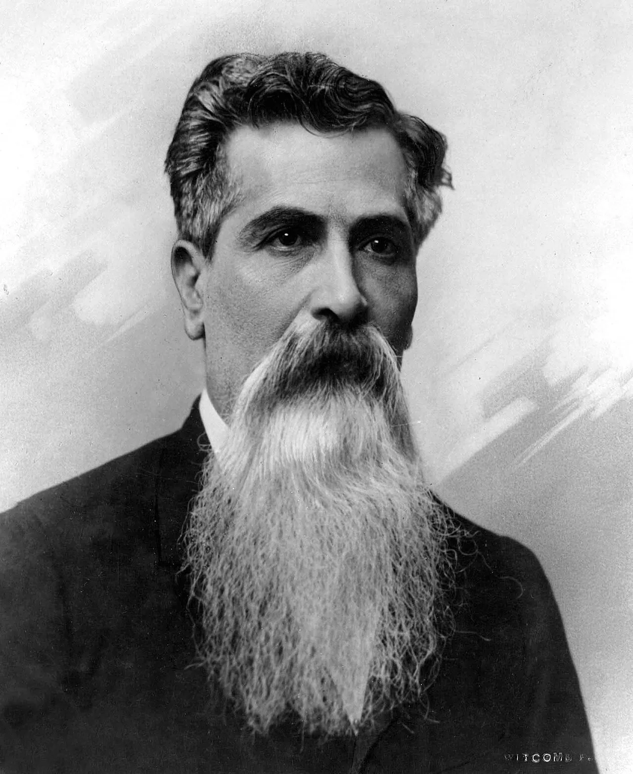 Porträt von Leandro N. Alem (1842–1896) – Gedenkseite