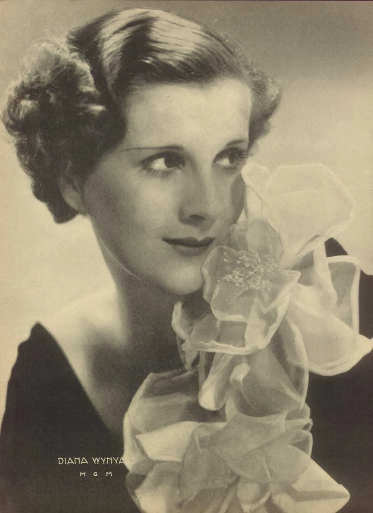 Porträt von Diana Wynyard (1906–1964) – Gedenkseite