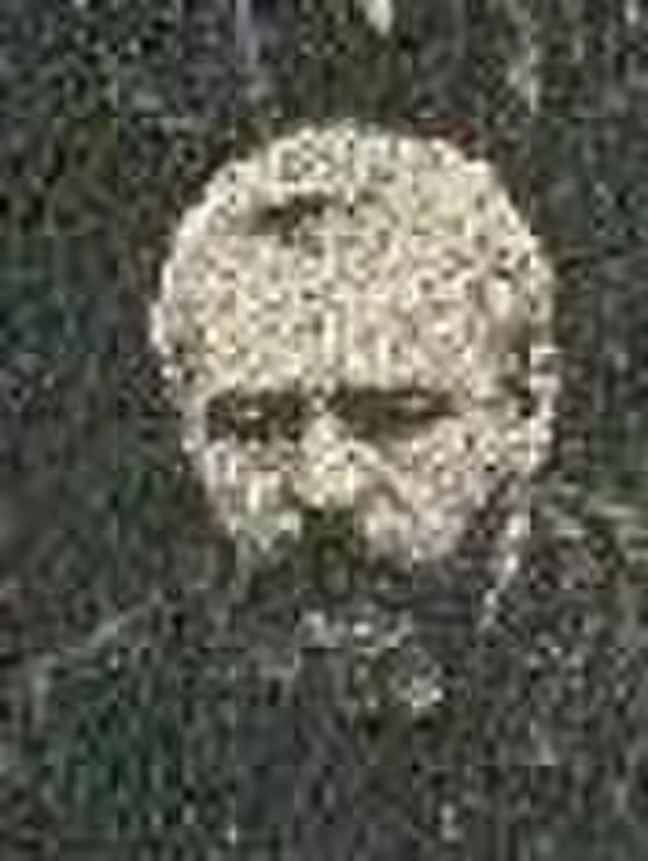 Portrait of Eugène Leclercq (1832–1908) – memorial page