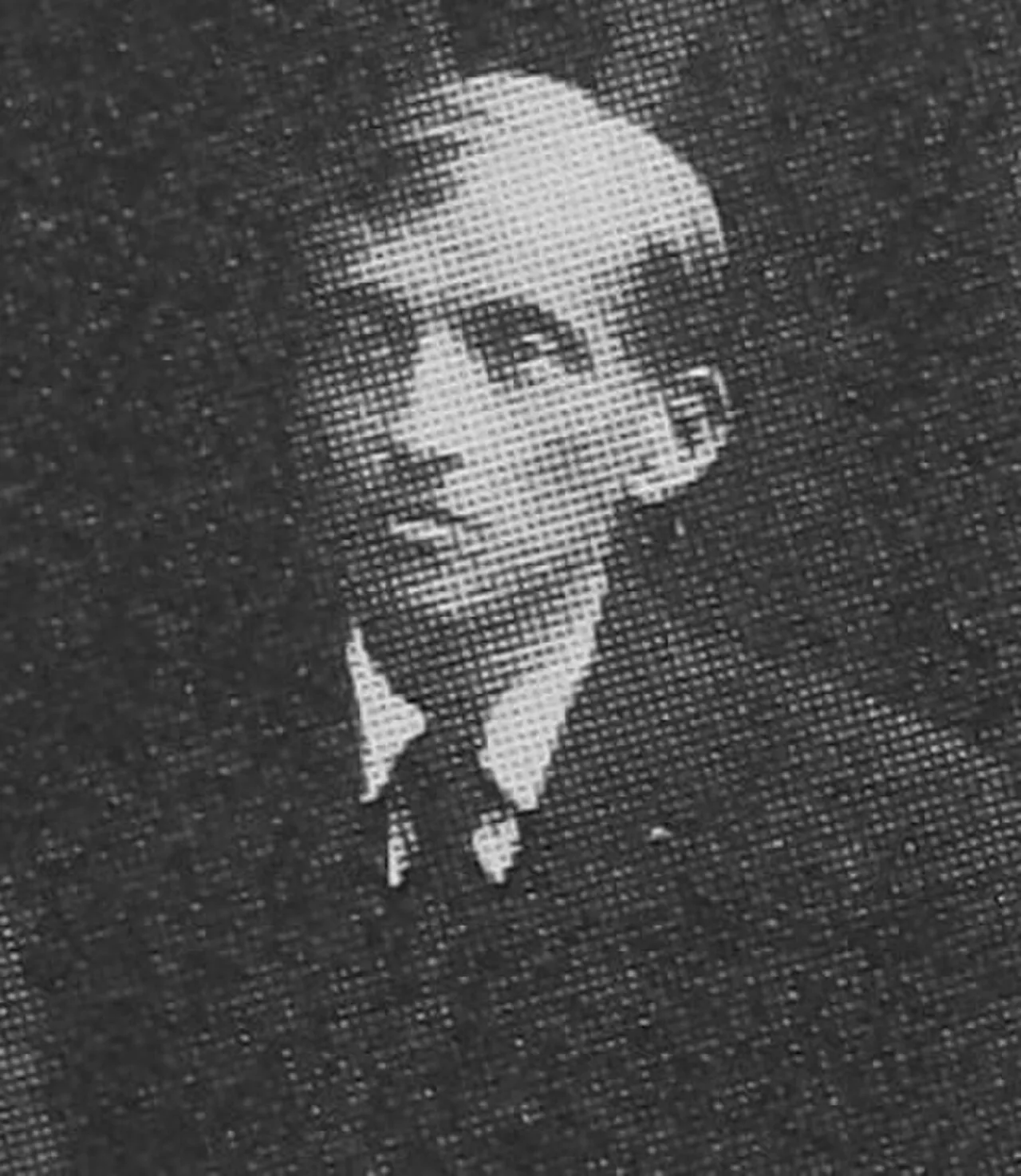 Józef Trznadel