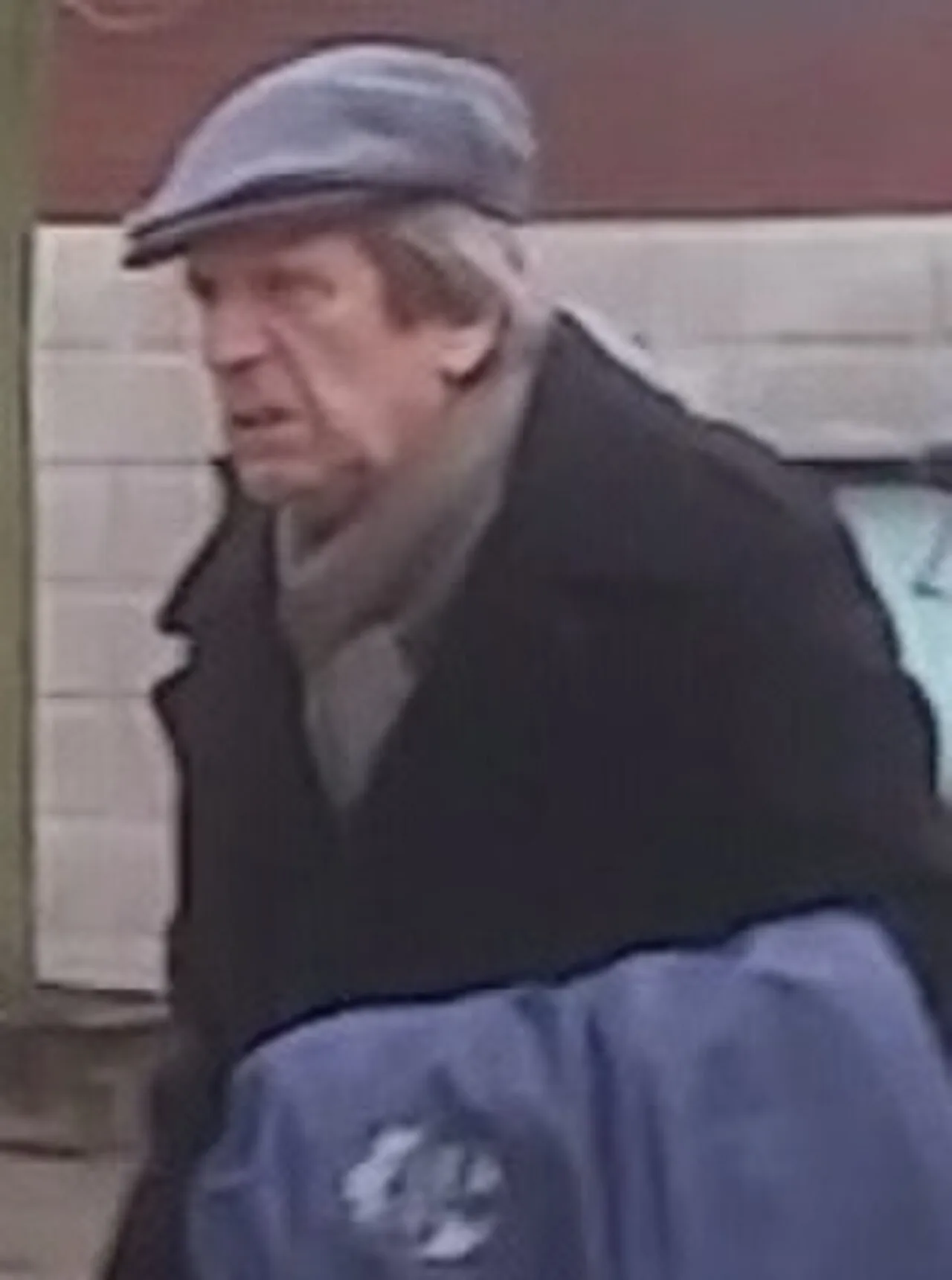 Portrait of Albert Millaire (1935–2018) – memorial page