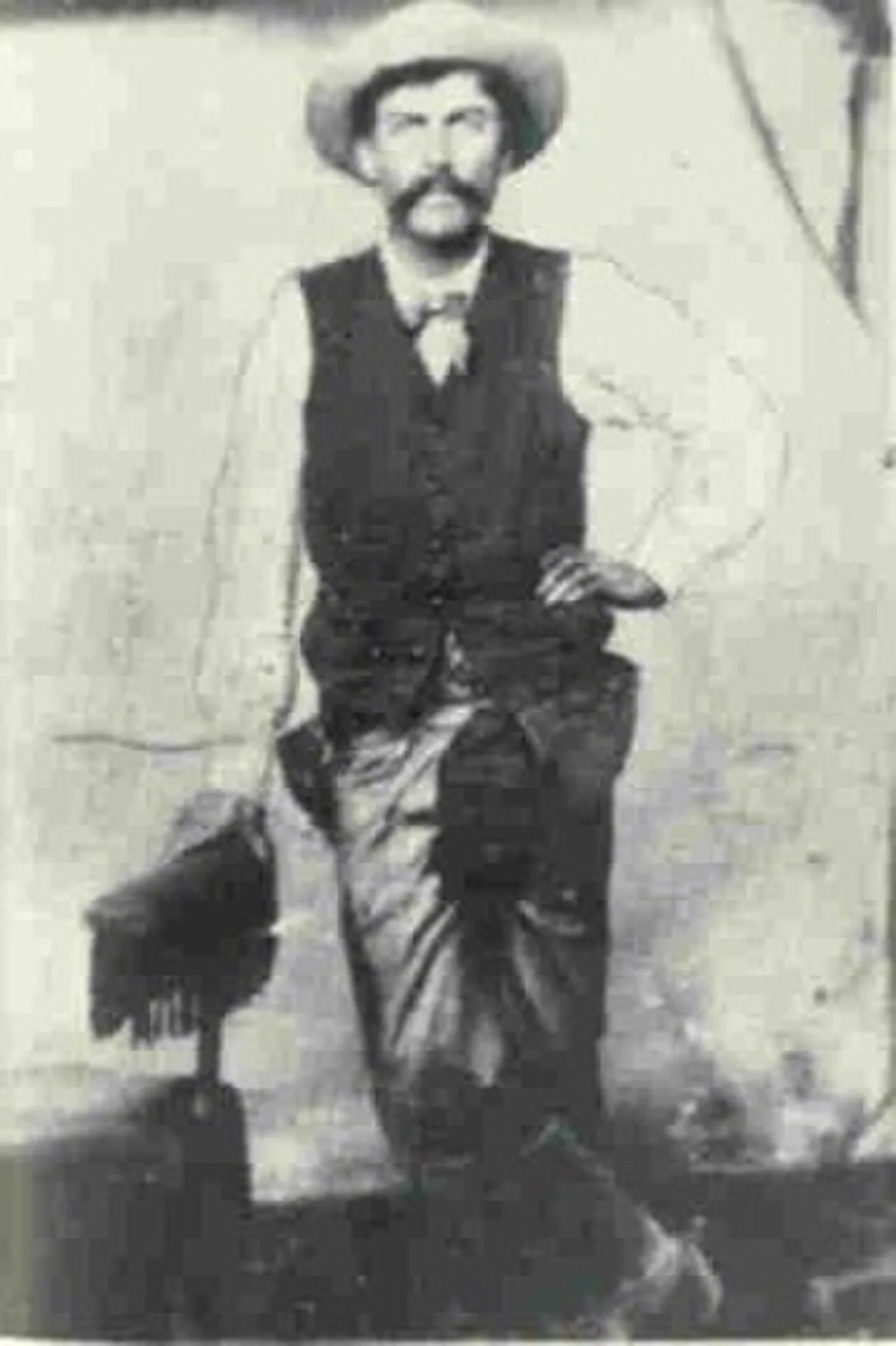 Fred Waite