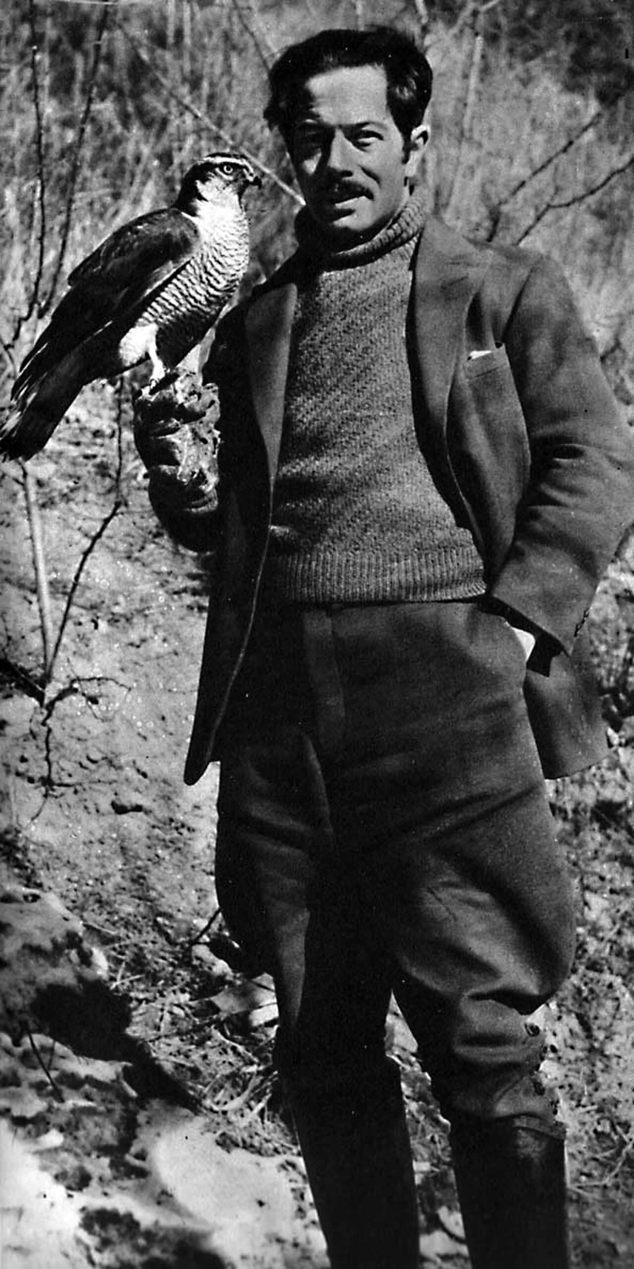 Porträt von Sten Bergman (1895–1975) – Gedenkseite