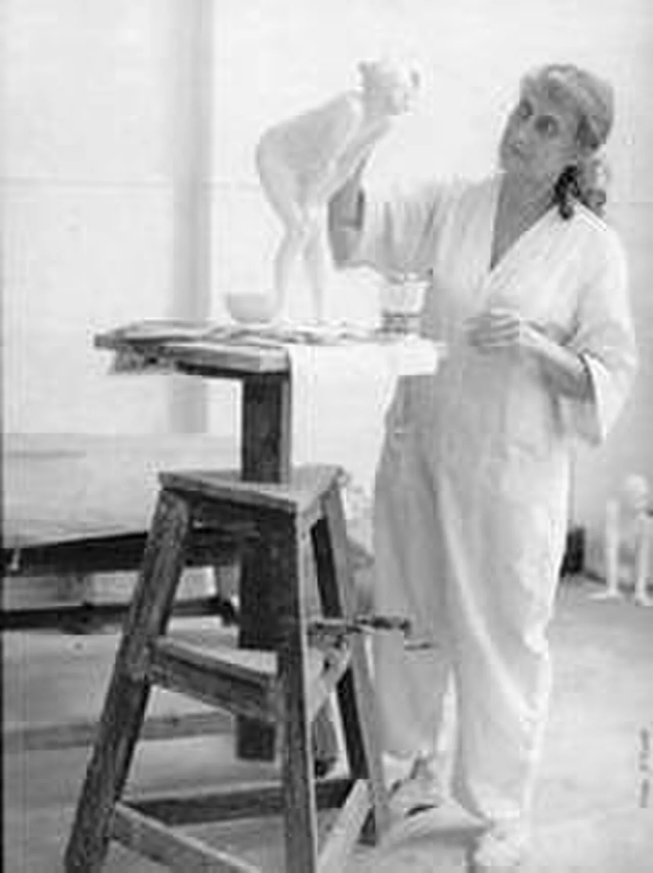 Porträt von Françoise Naudet (1928–2008) – Gedenkseite