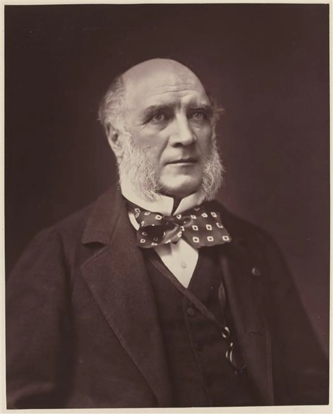 Porträt von Louis Charles Elie Victe Decazes (1819–1886) – Gedenkseite