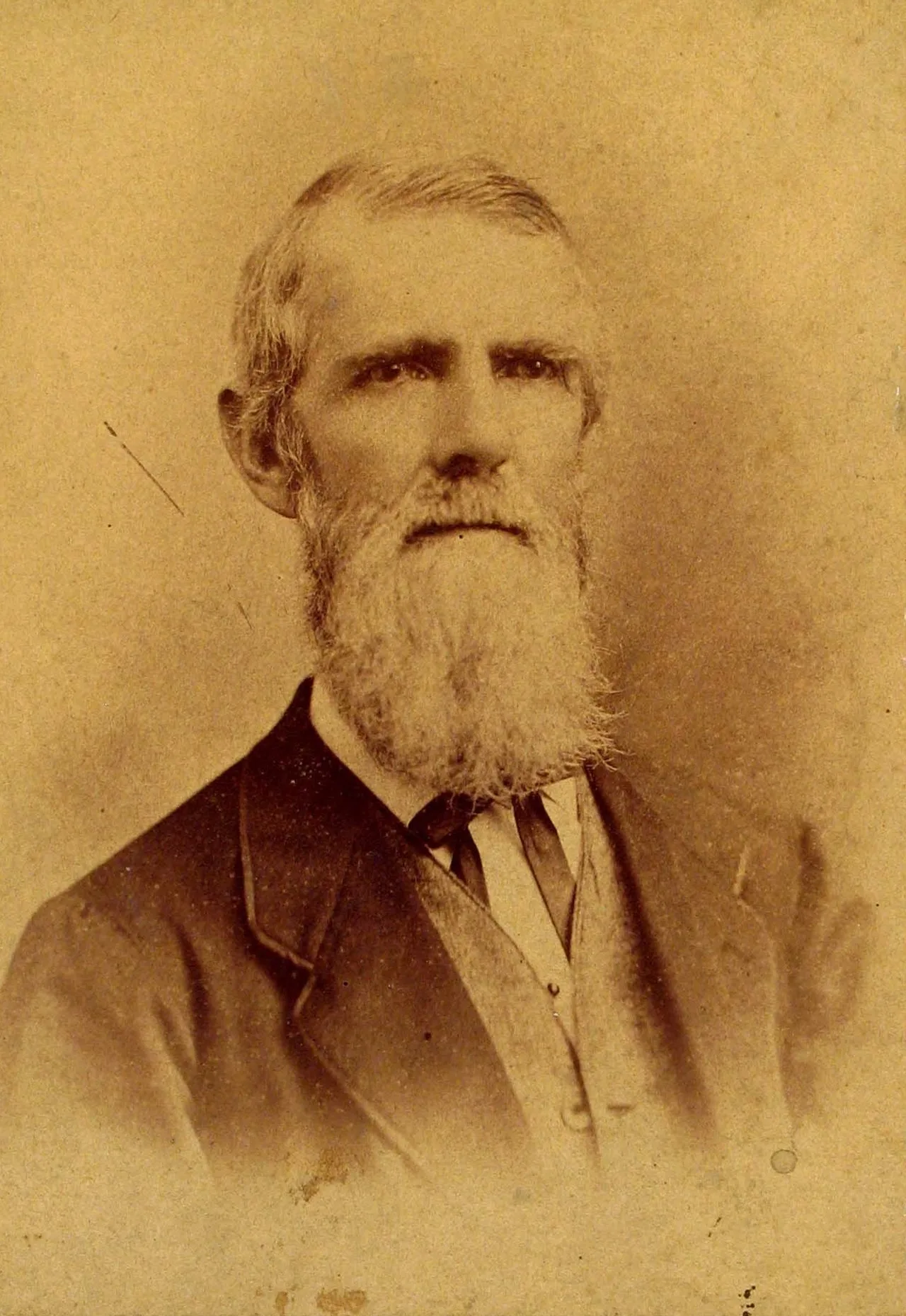 Porträt von Henry William Ravenel (1814–1887) – Gedenkseite
