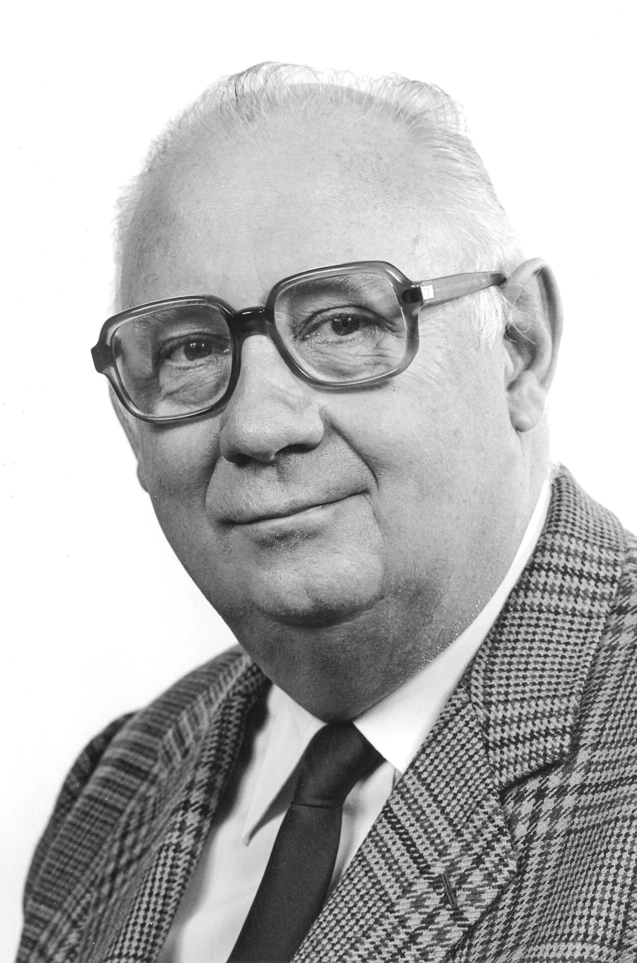 Portrait of Michel Poniatowski (1922–2002) – memorial page