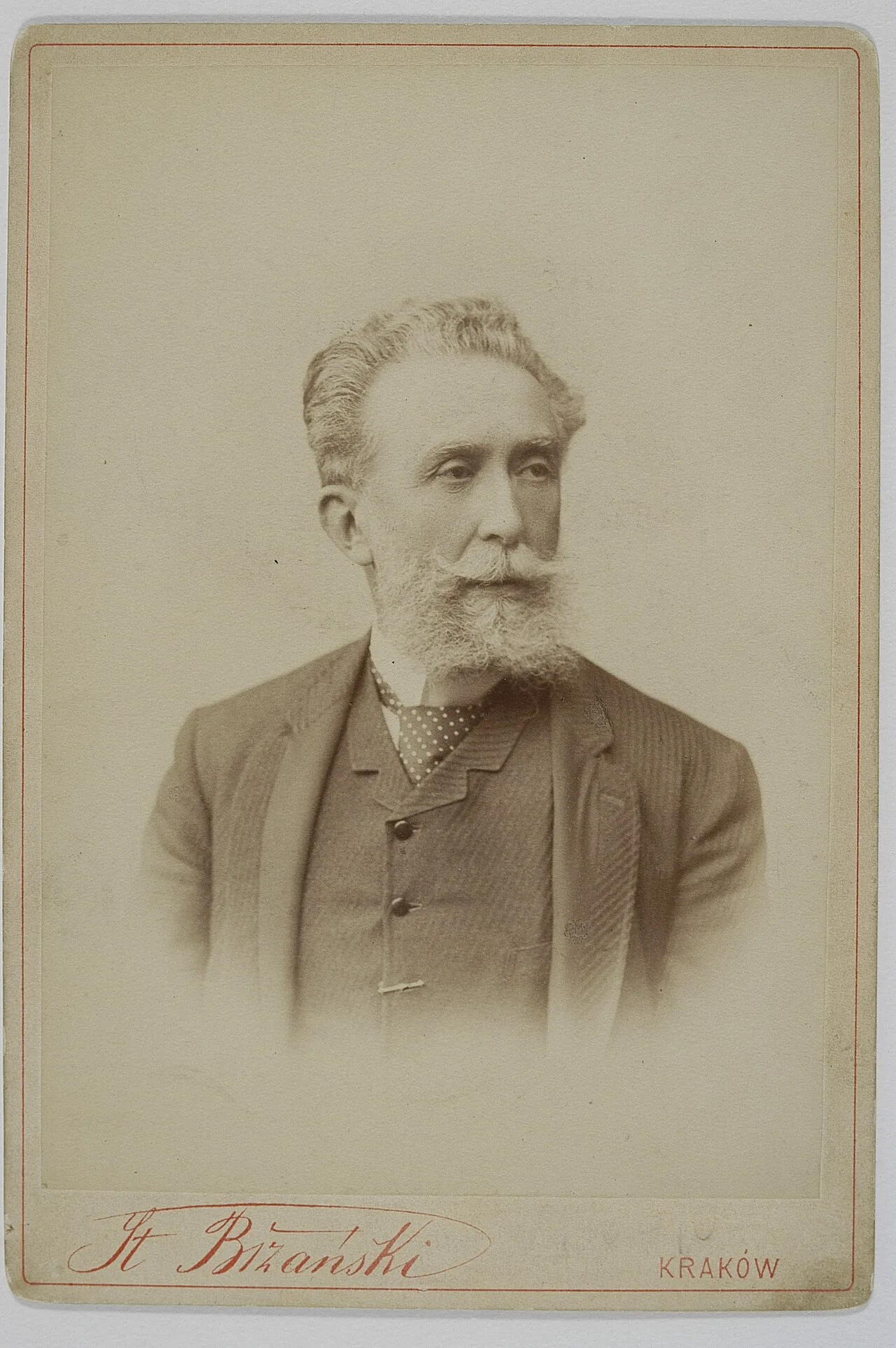 Porträt von Stanisław Tarnowski (1837–1917) – Gedenkseite