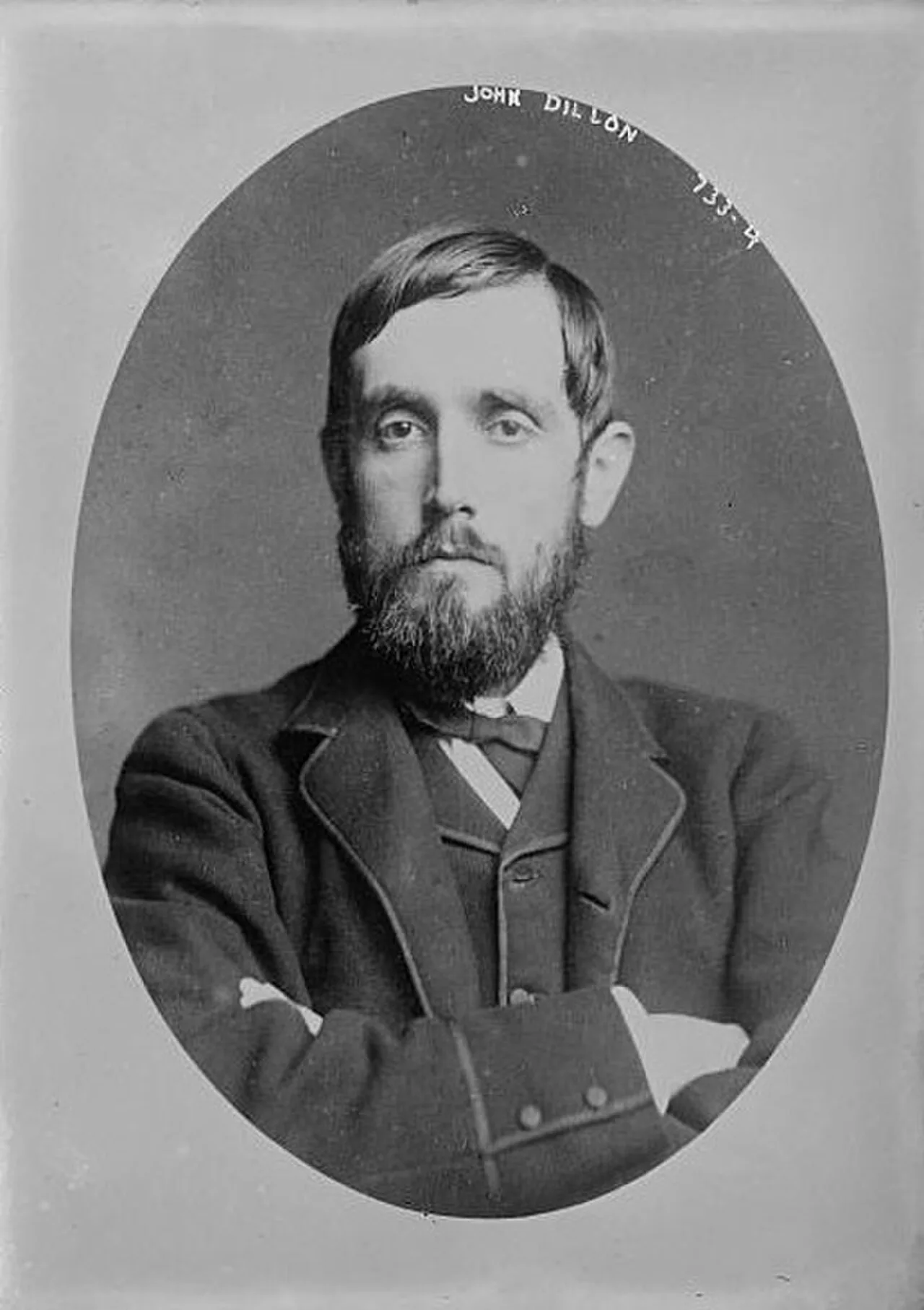 Portrait of John Dillon (1851–1927) – memorial page