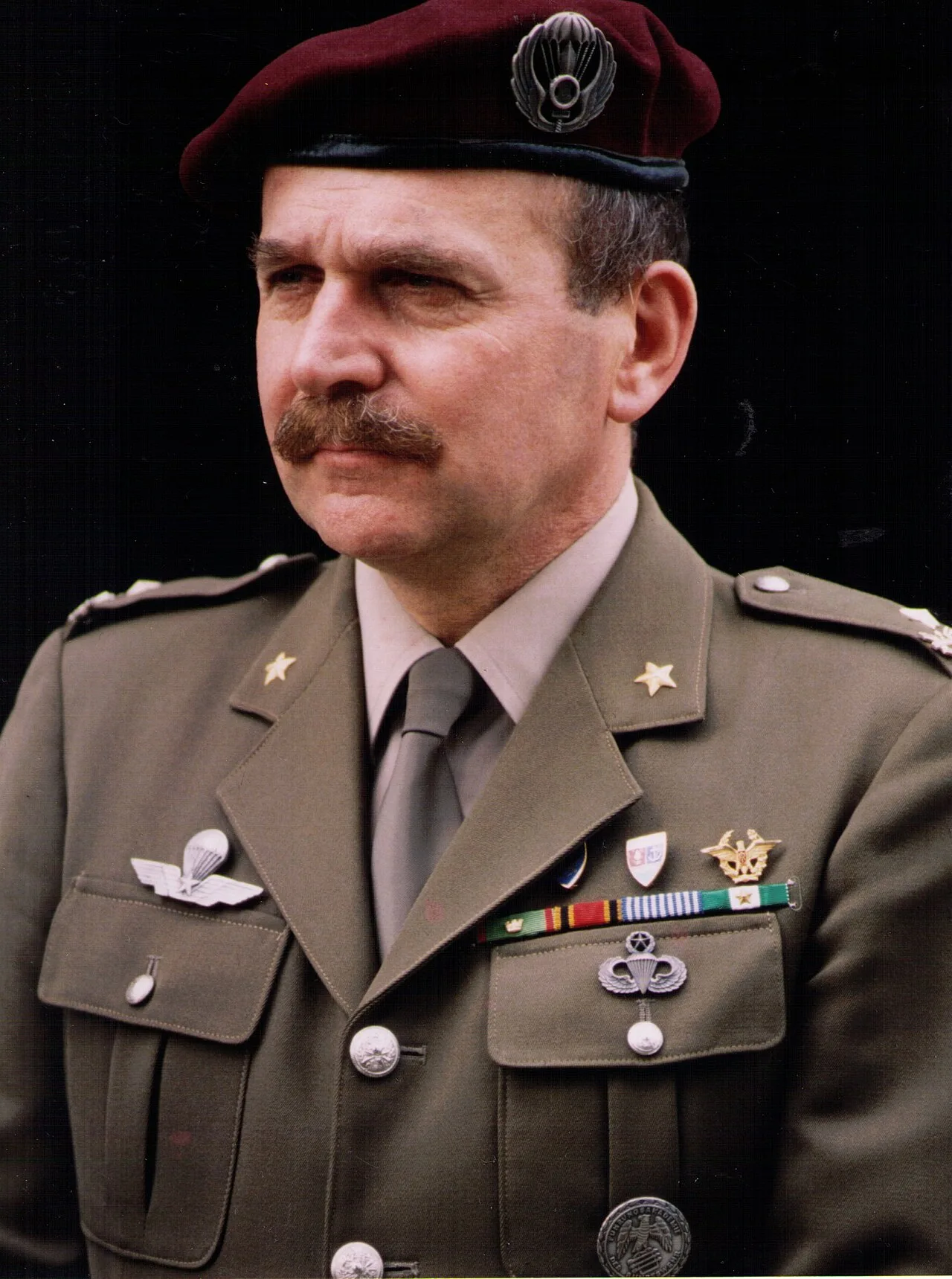 Portrait of Ambrogio Viviani (1929–2013) – memorial page