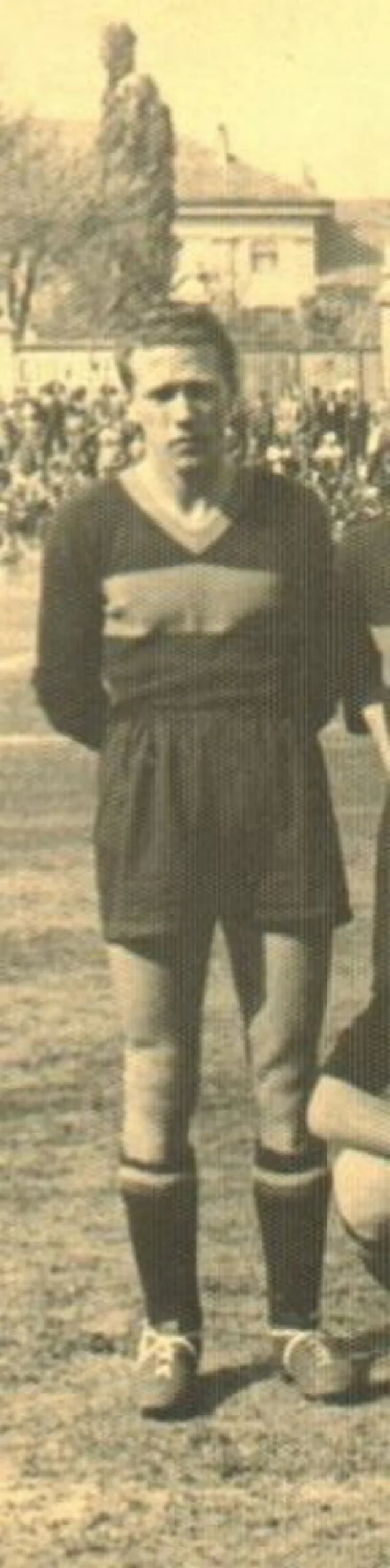 Portrait of Antonio Peternel (1910–1986) – memorial page