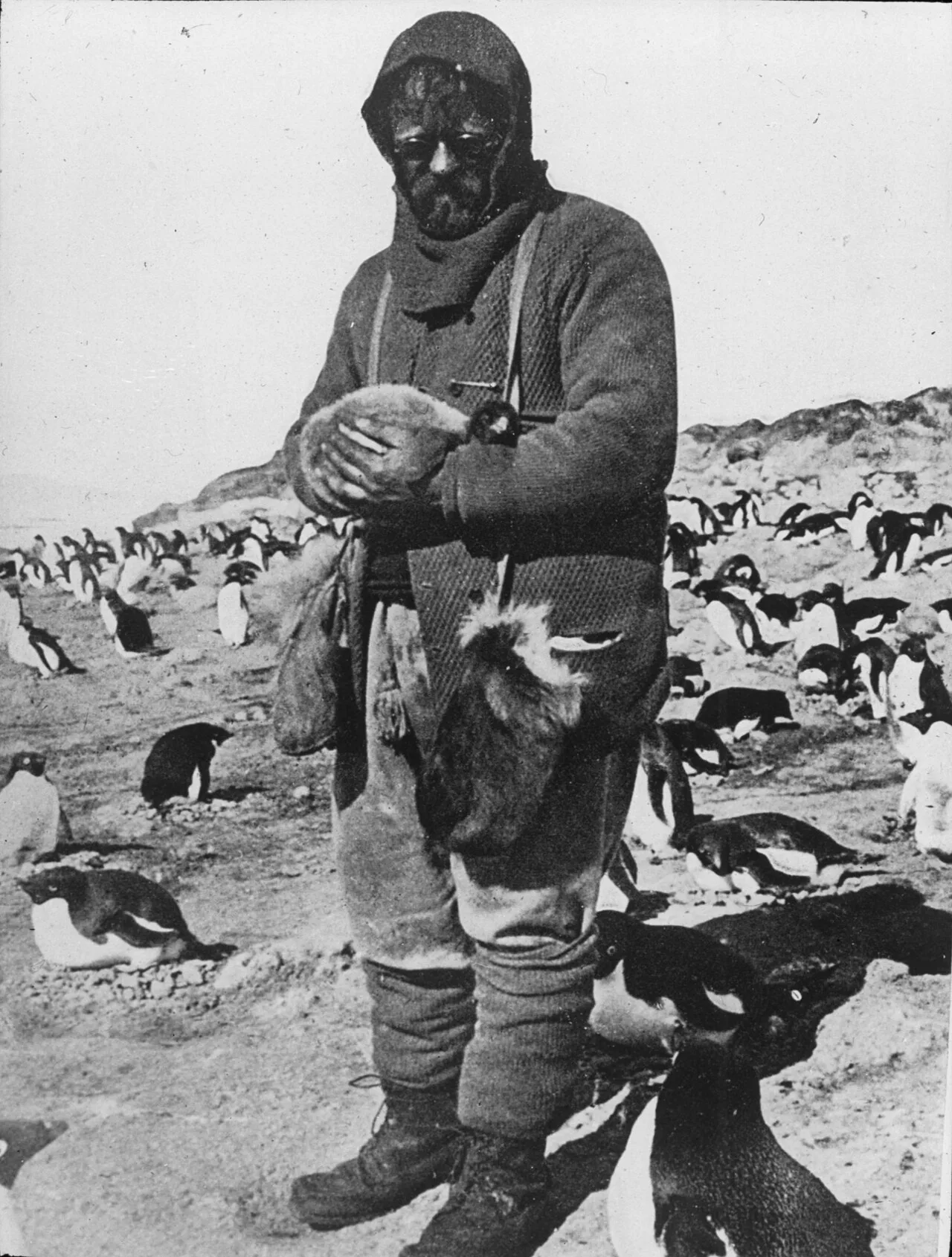 Porträt von James Murray (1865–1914) – Gedenkseite