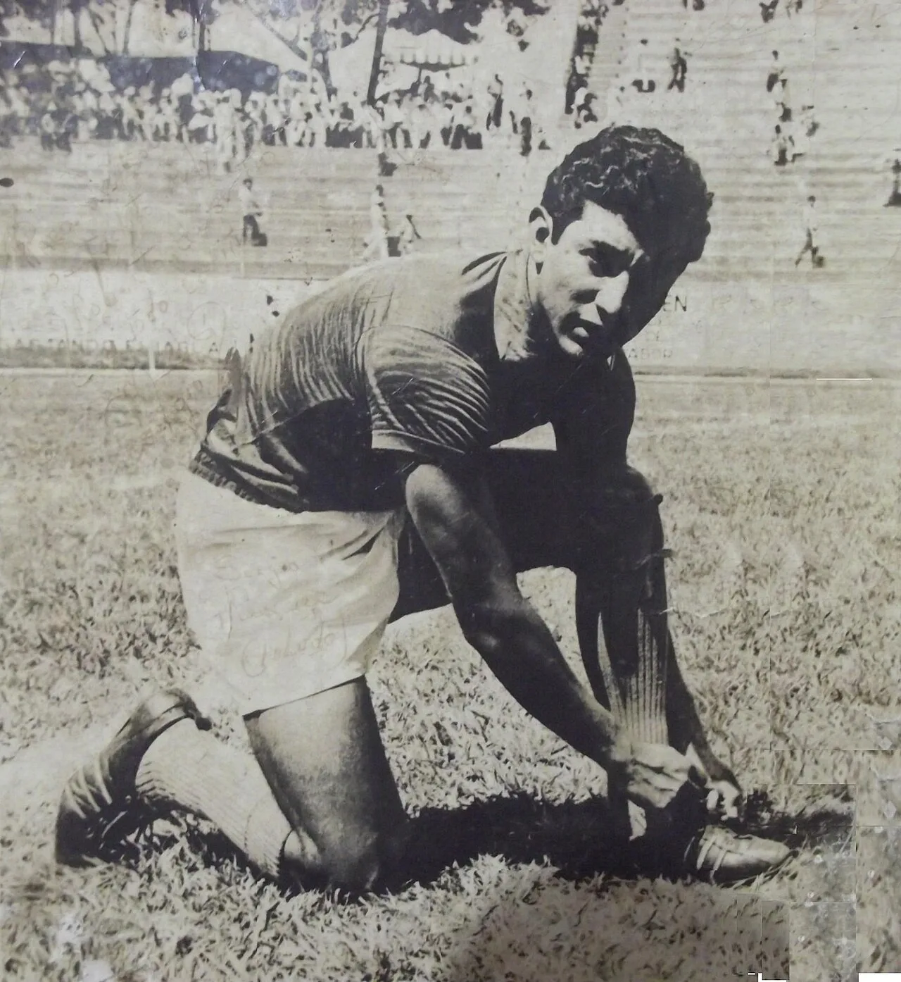 Porträt von Sergio Méndez (1943–1976) – Gedenkseite