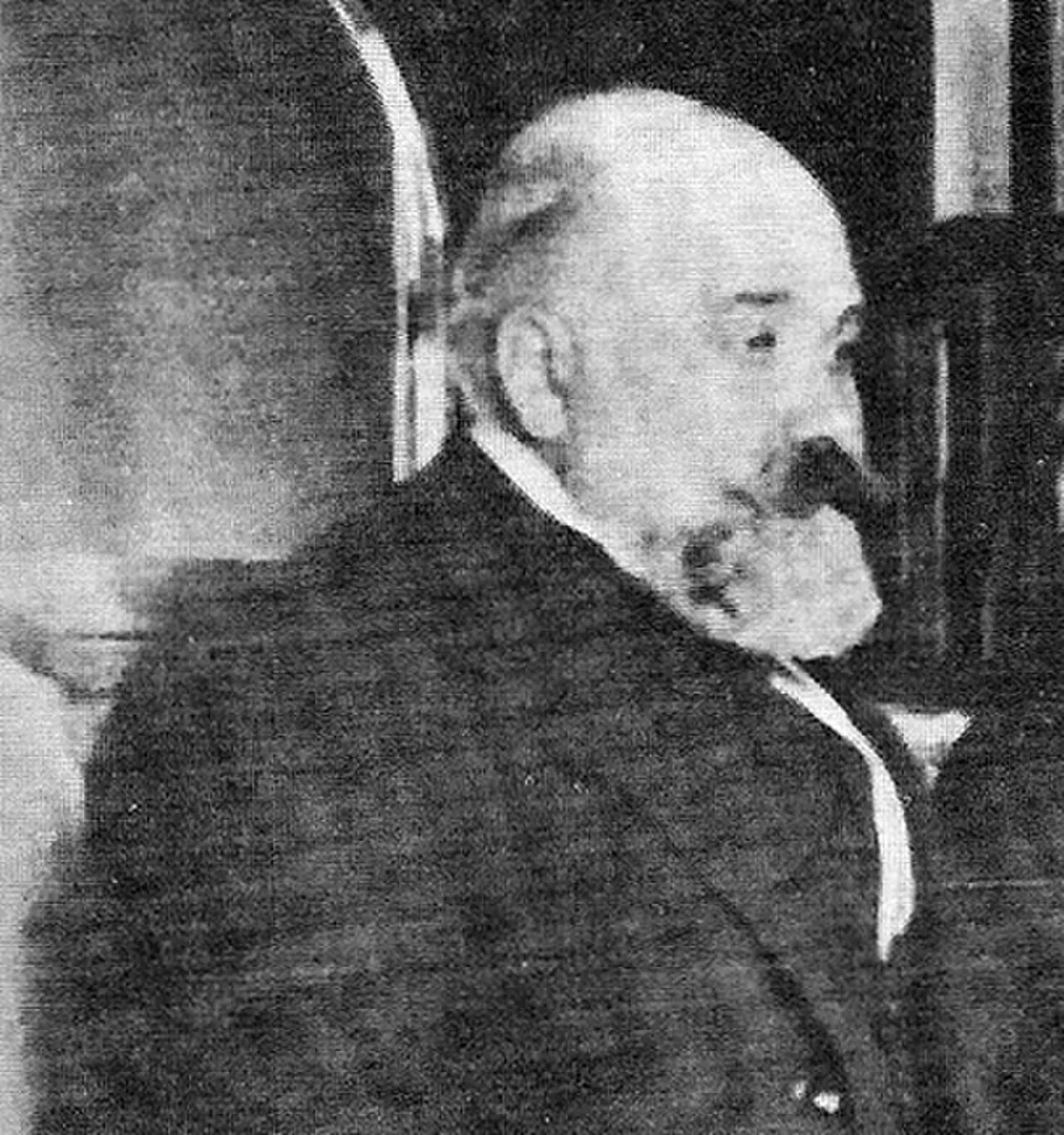Porträt von Pietro Bertolini (1859–1920) – Gedenkseite