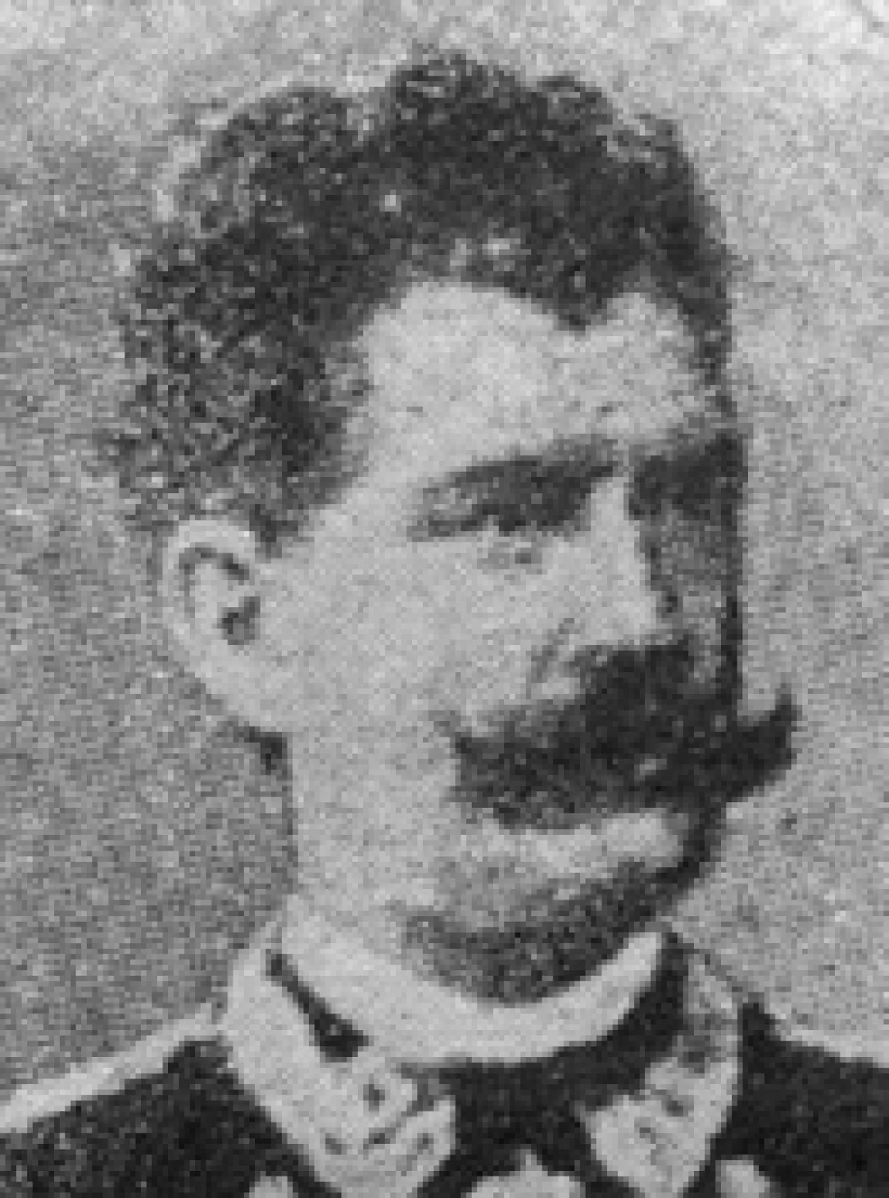 Portrait of Teresio Bocca (1825–1897) – memorial page