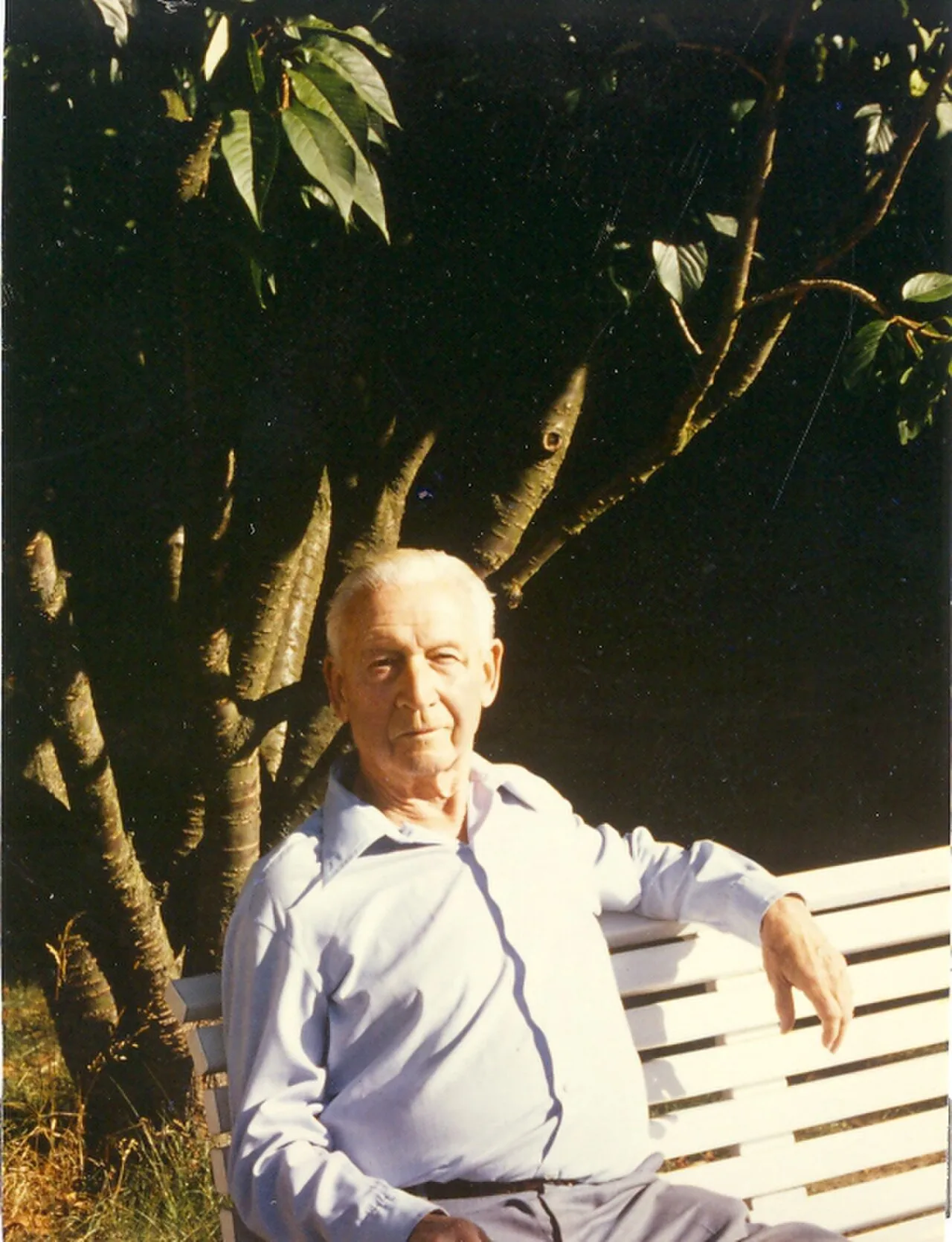 Portrait of Wladimir Wladimirowitsch Sweginzow (1914–1996) – memorial page
