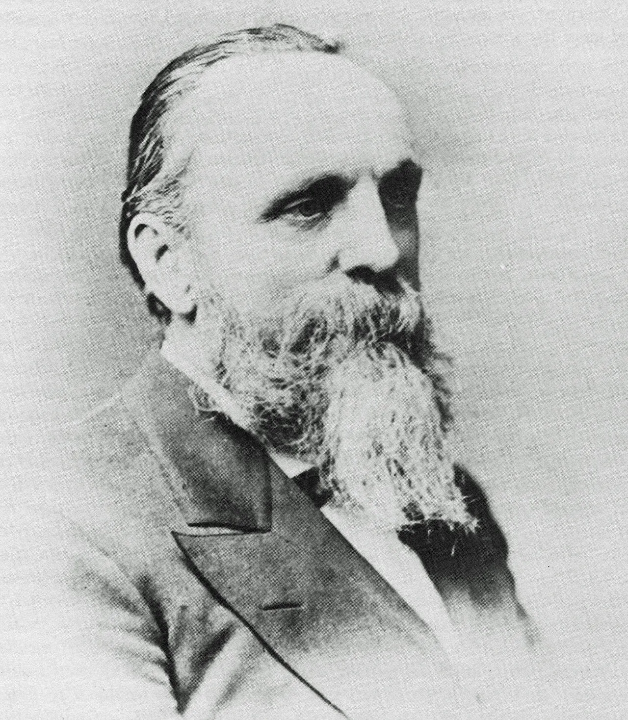 Portrait of Henry H. Wells (1823–1900) – memorial page