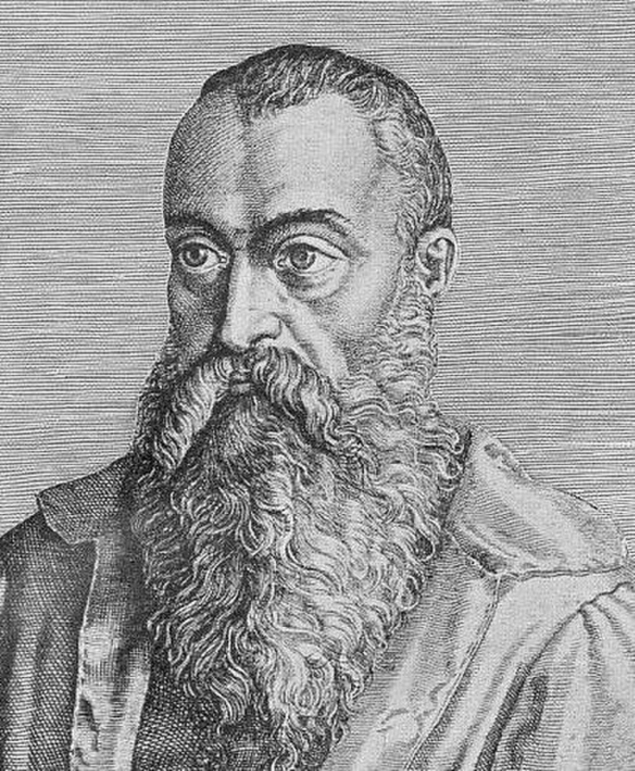 Porträt von Julius Caesar Scaliger (1484–1558) – Gedenkseite