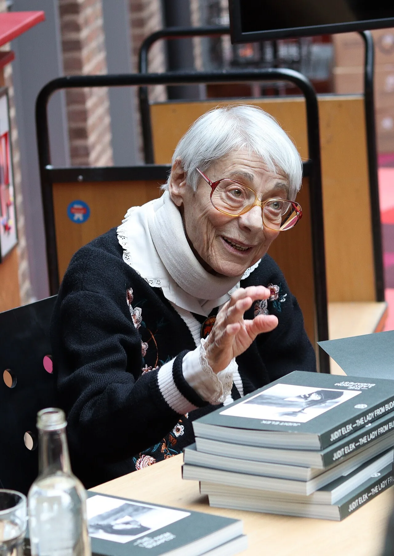 Porträt von Judit Elek (1937–2025) – Gedenkseite