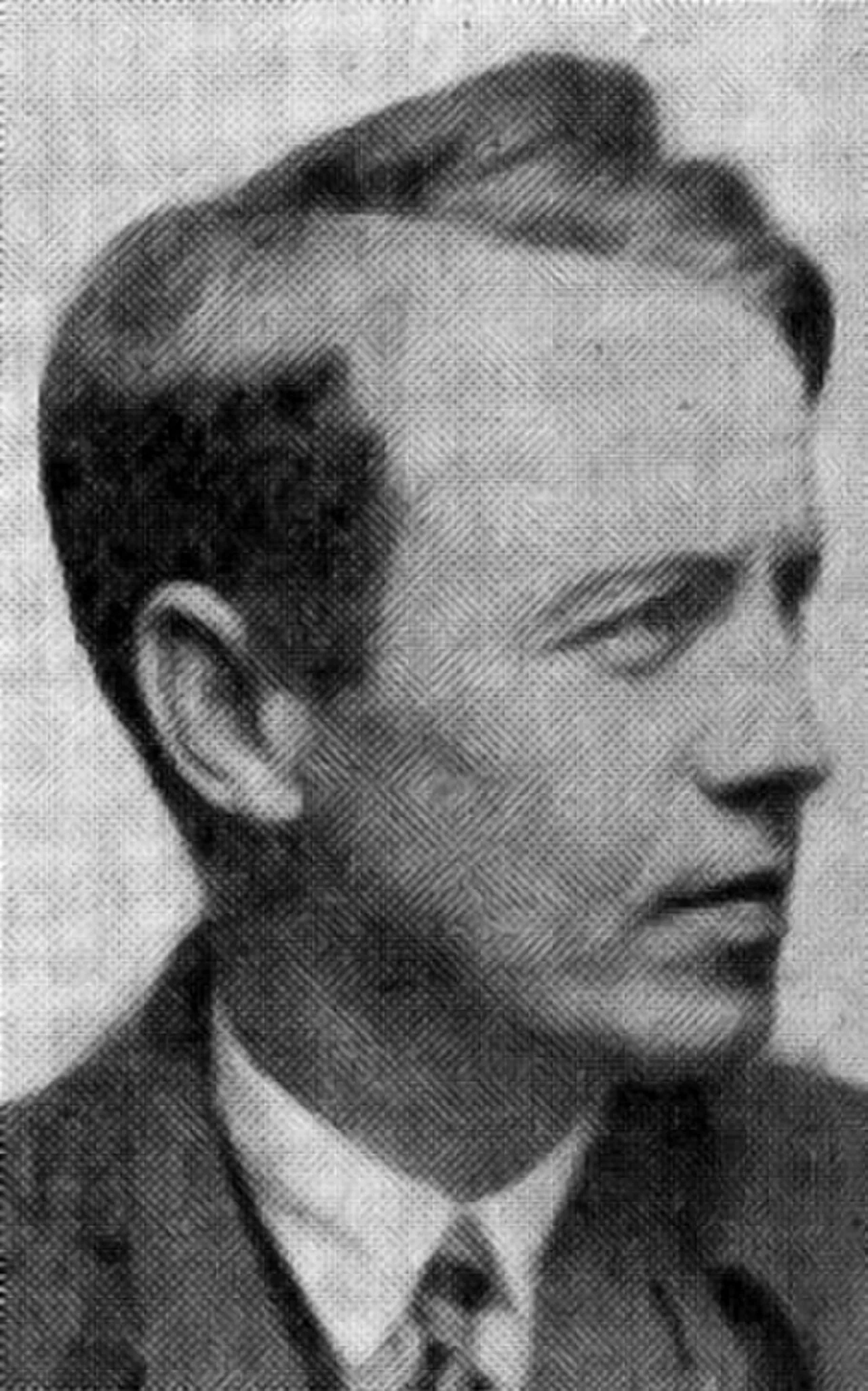 Harald Viggo Hansteen