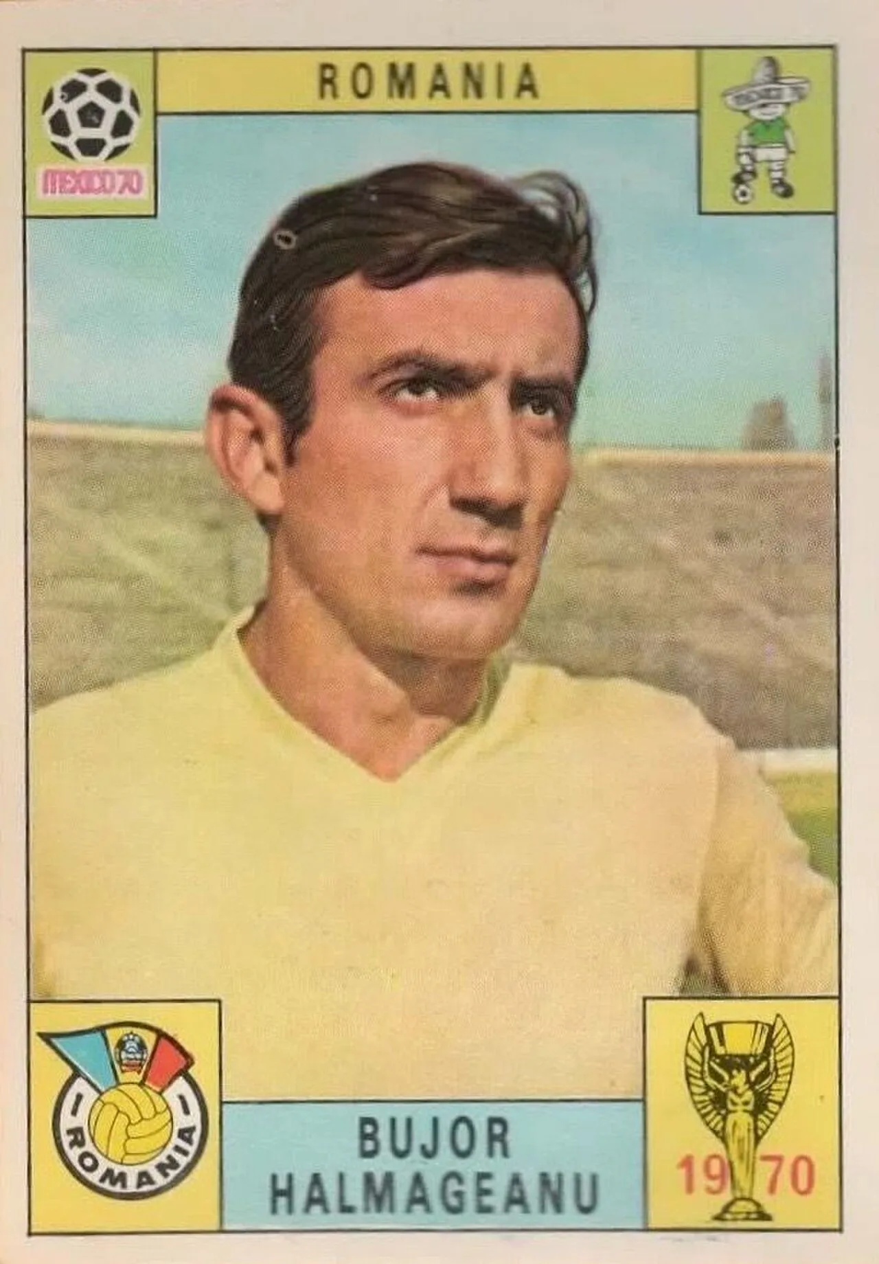 Portrait of Bujor Hălmăgeanu (1941–2018) – memorial page