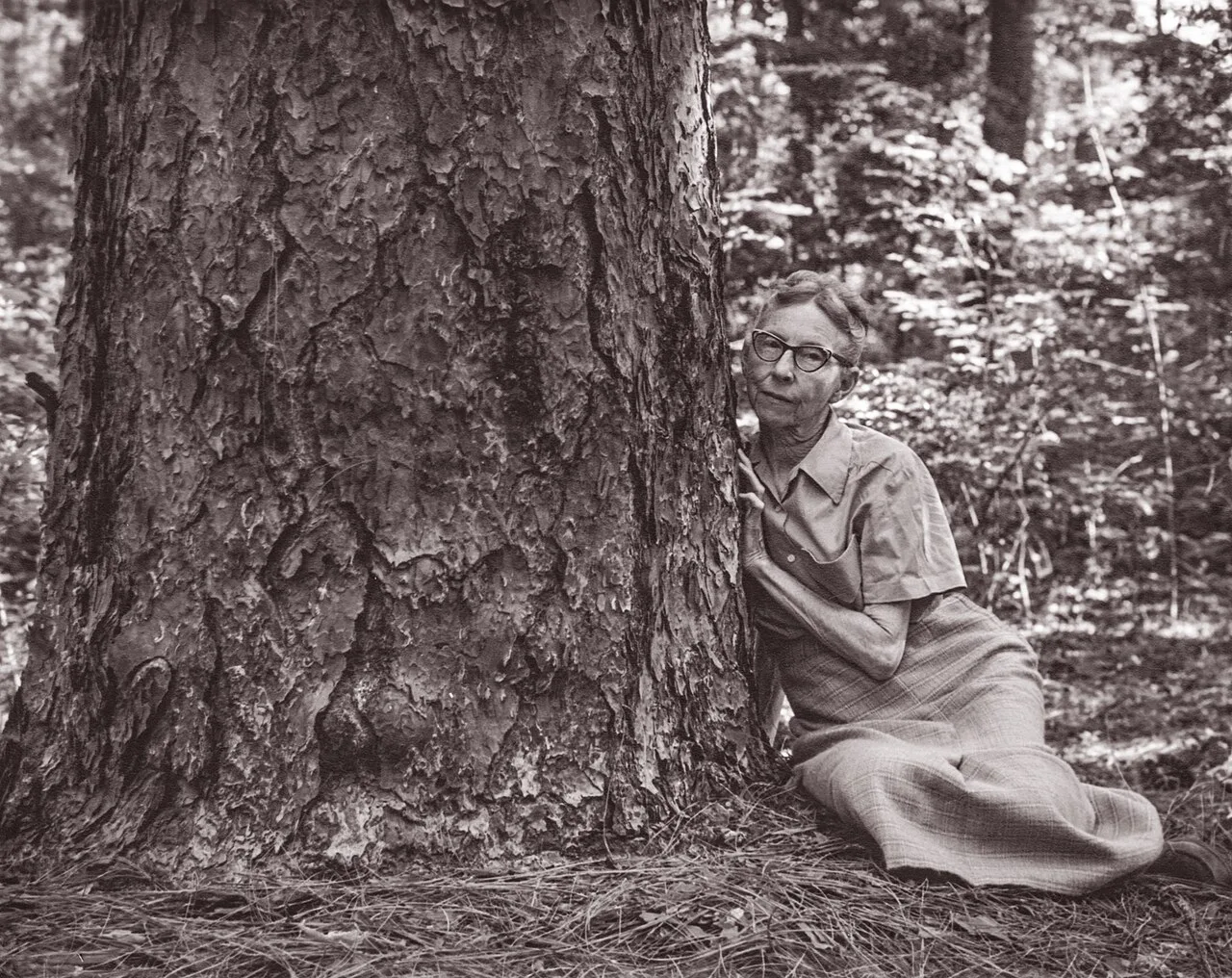 Porträt von Caroline Dormon (1888–1971) – Gedenkseite