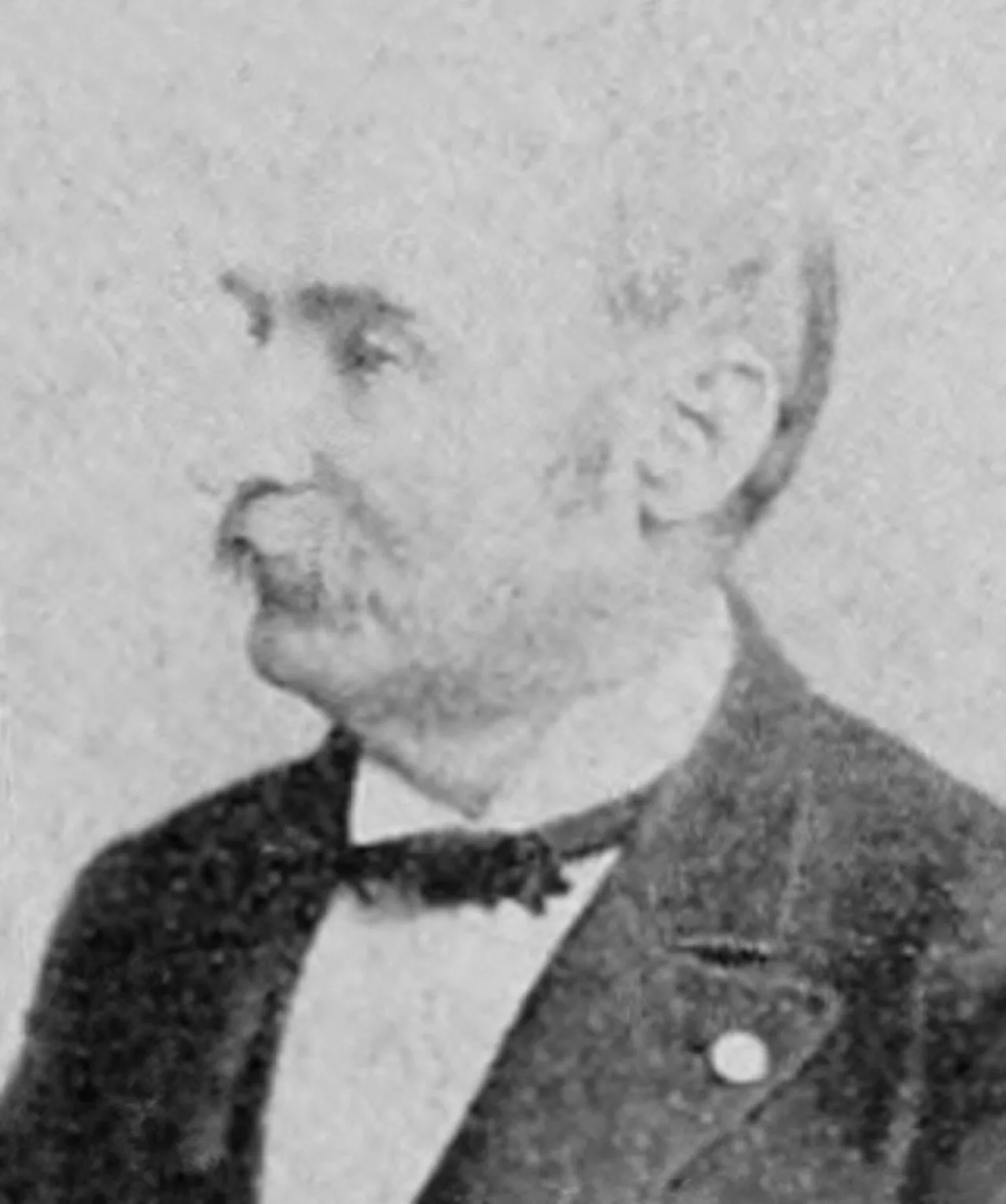 Portrait of Charles Townsend (1834–1900) – memorial page