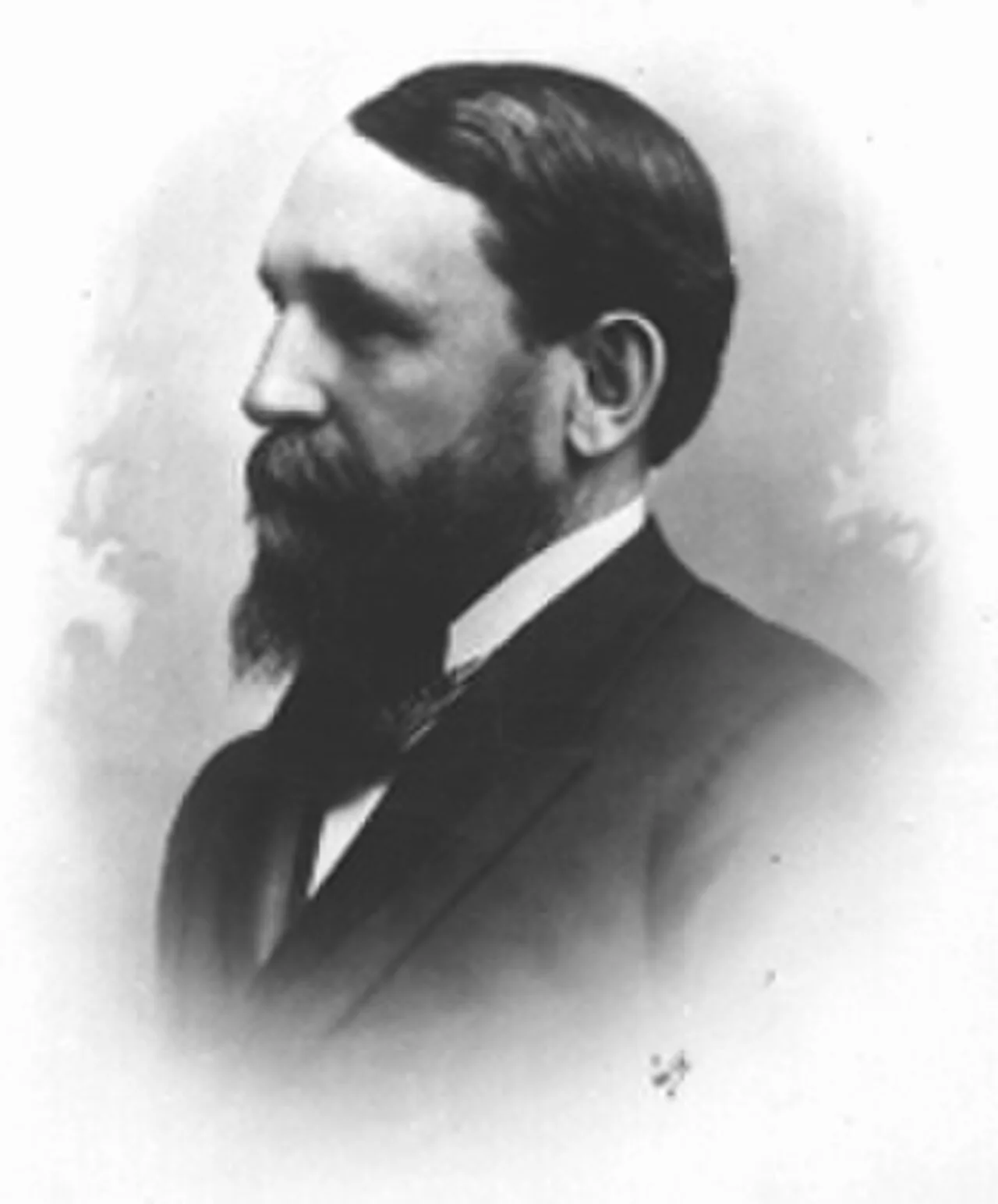 Portrait of Elias S. Stover (1836–1927) – memorial page