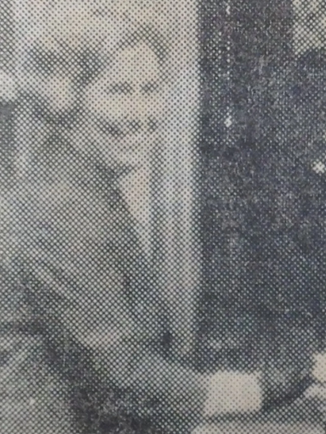 Portrait of Elsie Tu (1913–2015) – memorial page
