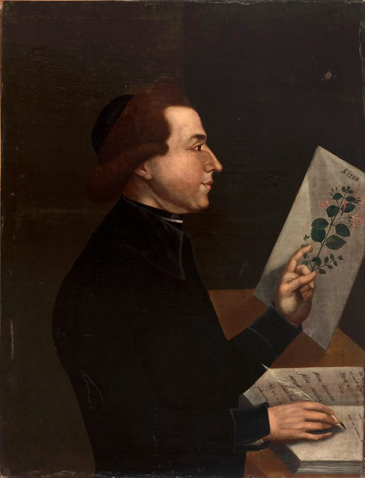 Portrait of Antonio José Cavanilles (1745–1804) – memorial page