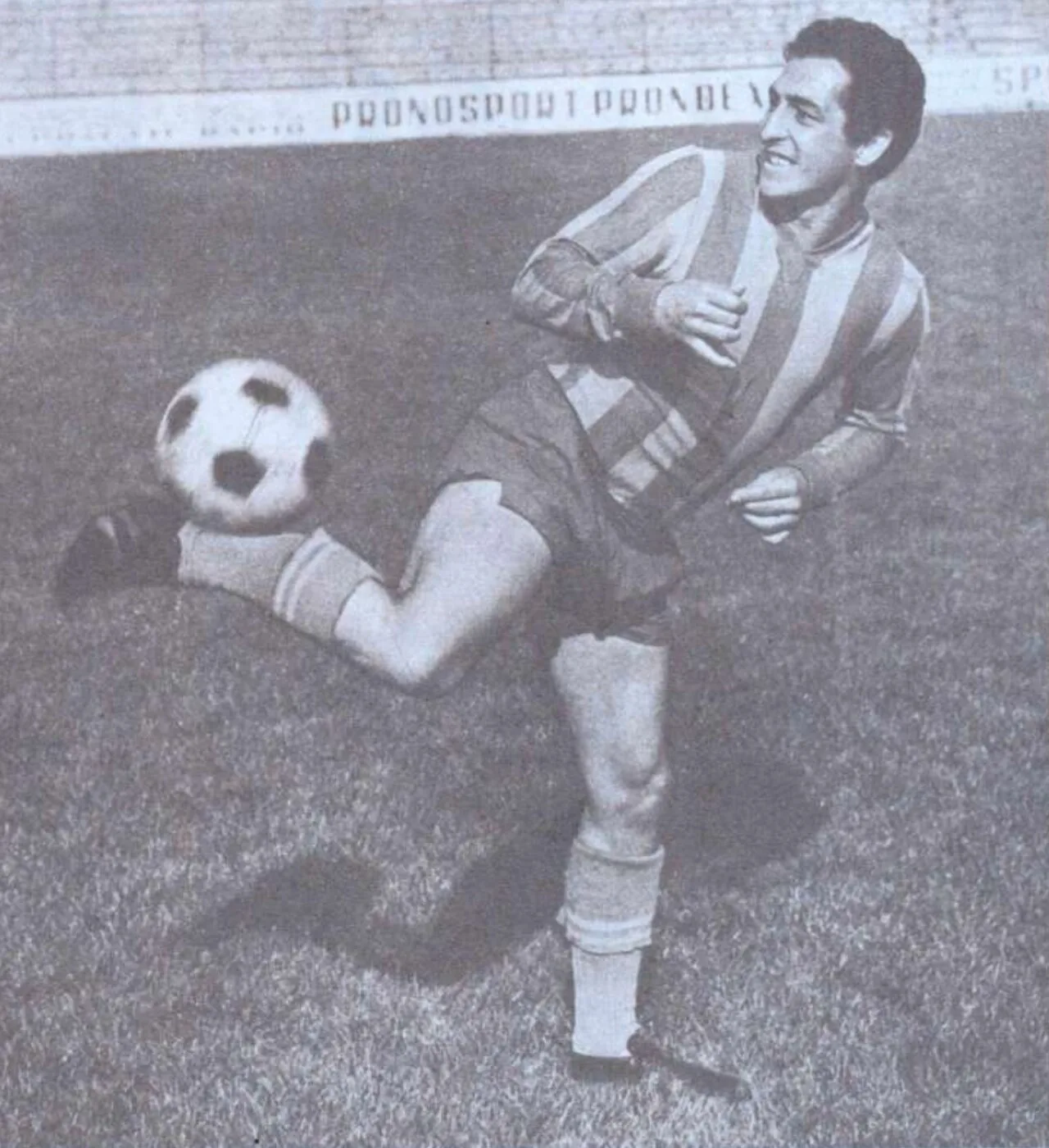 Portrait of Gabriel Raksi (1938–2002) – memorial page