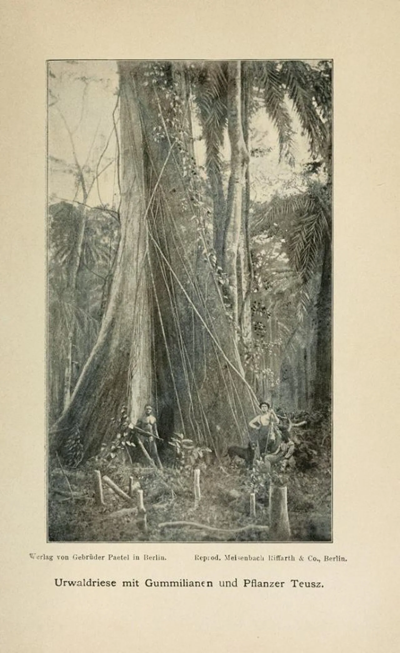 Porträt von Julius Eduard Teusz (1845–1912) – Gedenkseite