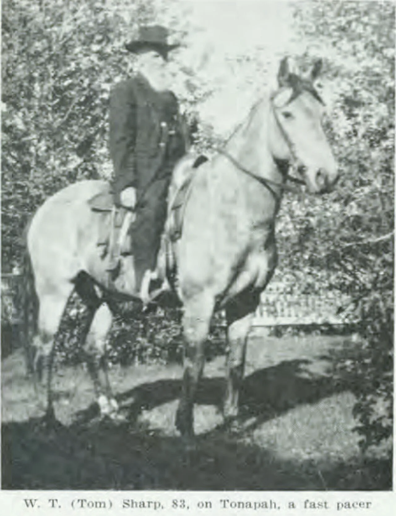 Porträt von Tom Sharp (1838–1929) – Gedenkseite