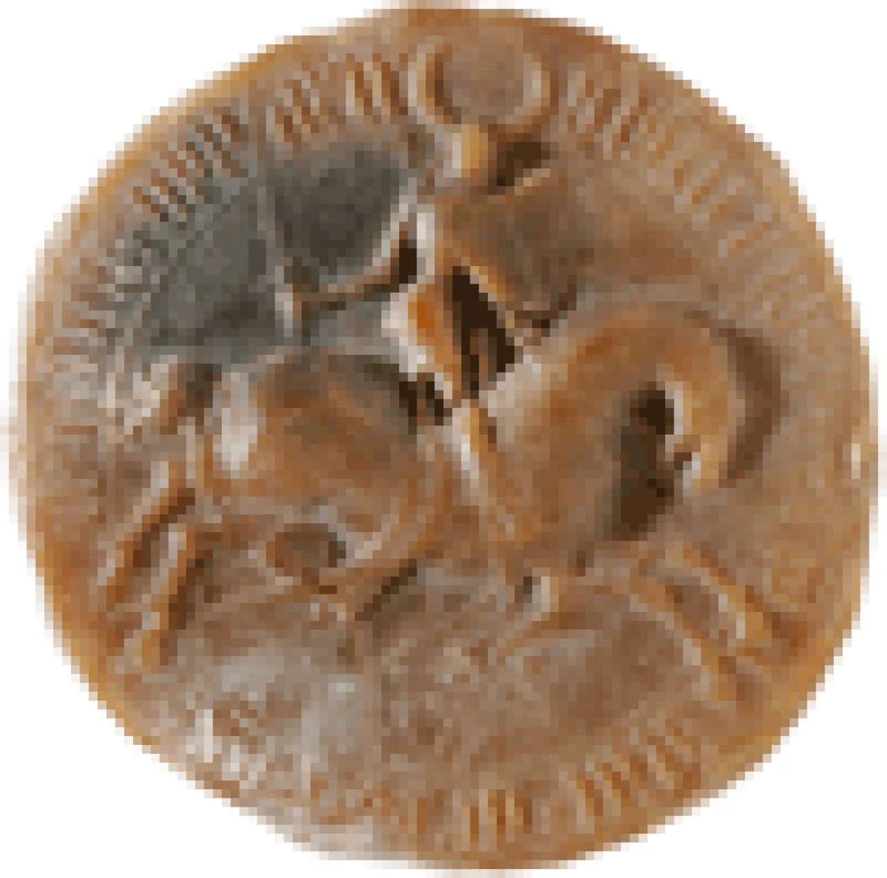 Portrait of Přemysl I. (1365–1433) – memorial page
