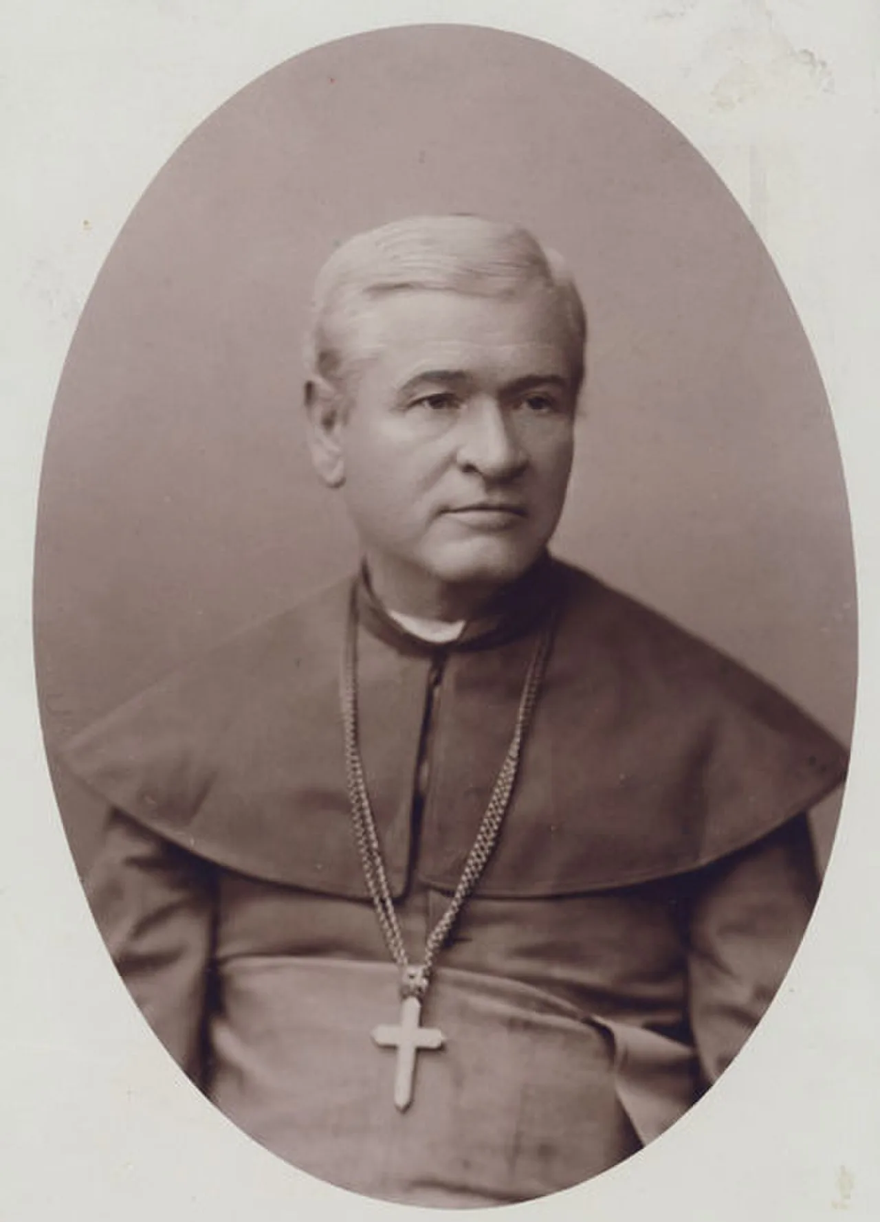 Porträt von Antanas Baranauskas (1835–1902) – Gedenkseite