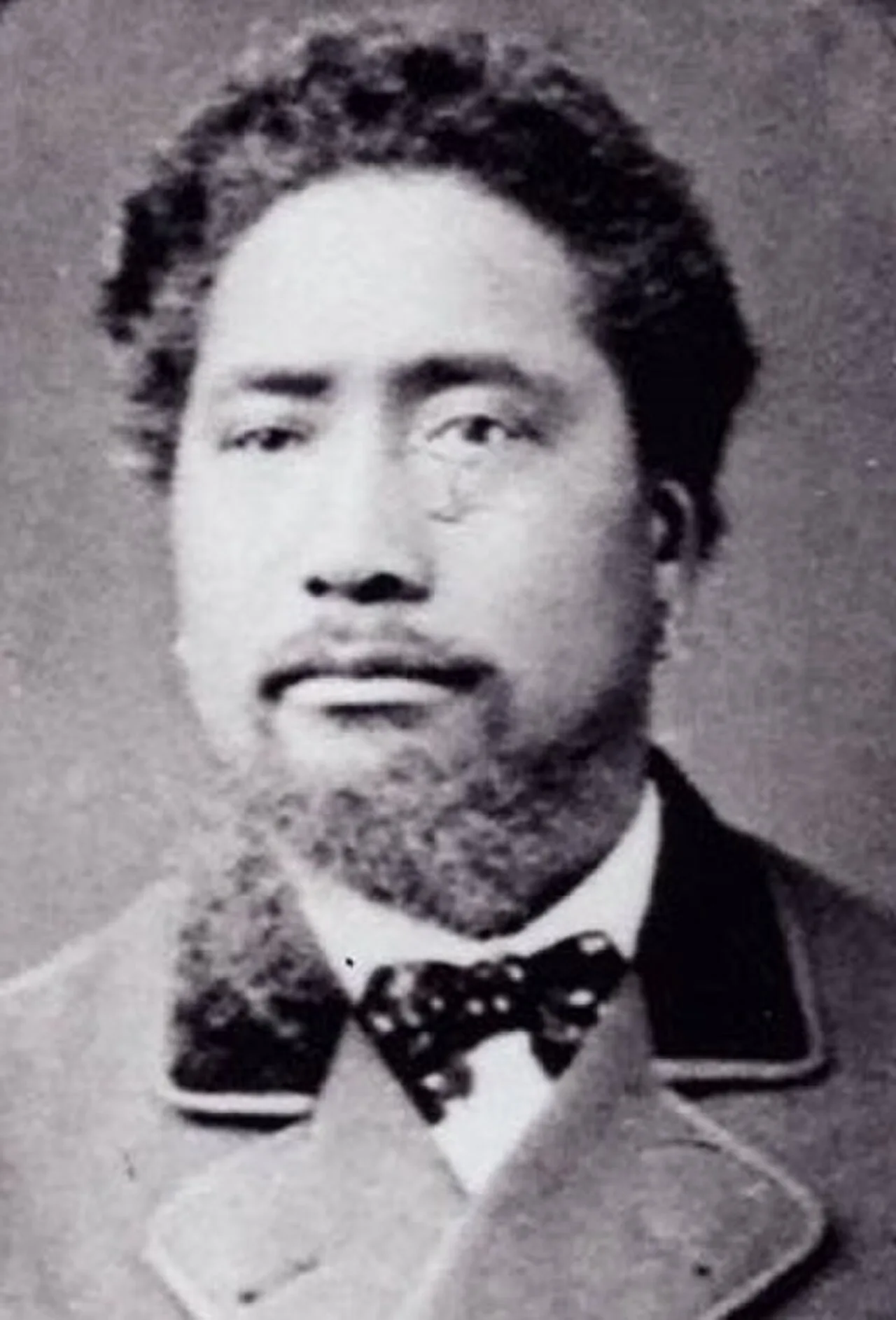 Porträt von Hoani Nahi (1833–1894) – Gedenkseite